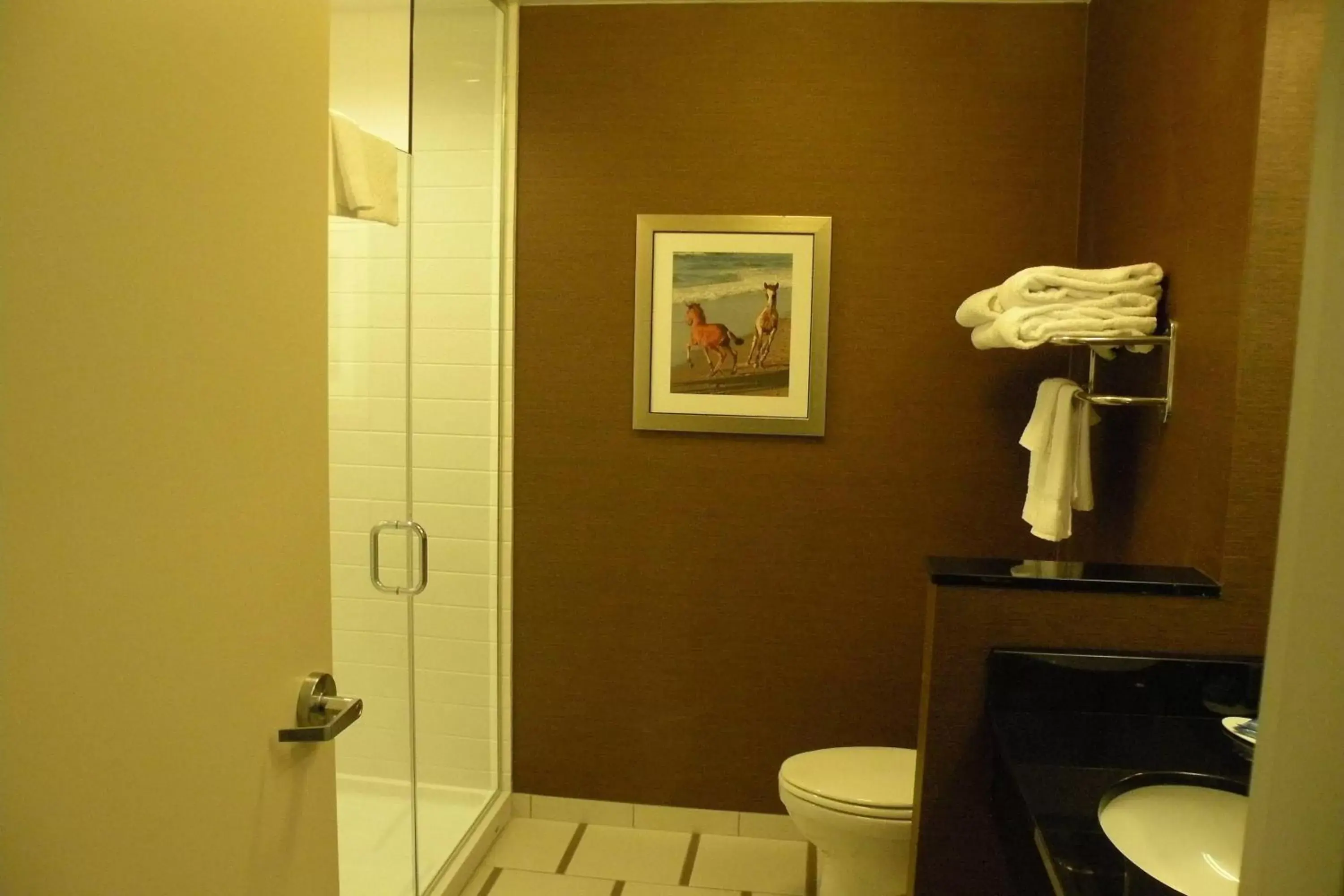 Bathroom in Fairfield Inn & Suites by Marriott Chincoteague Island Waterfront
