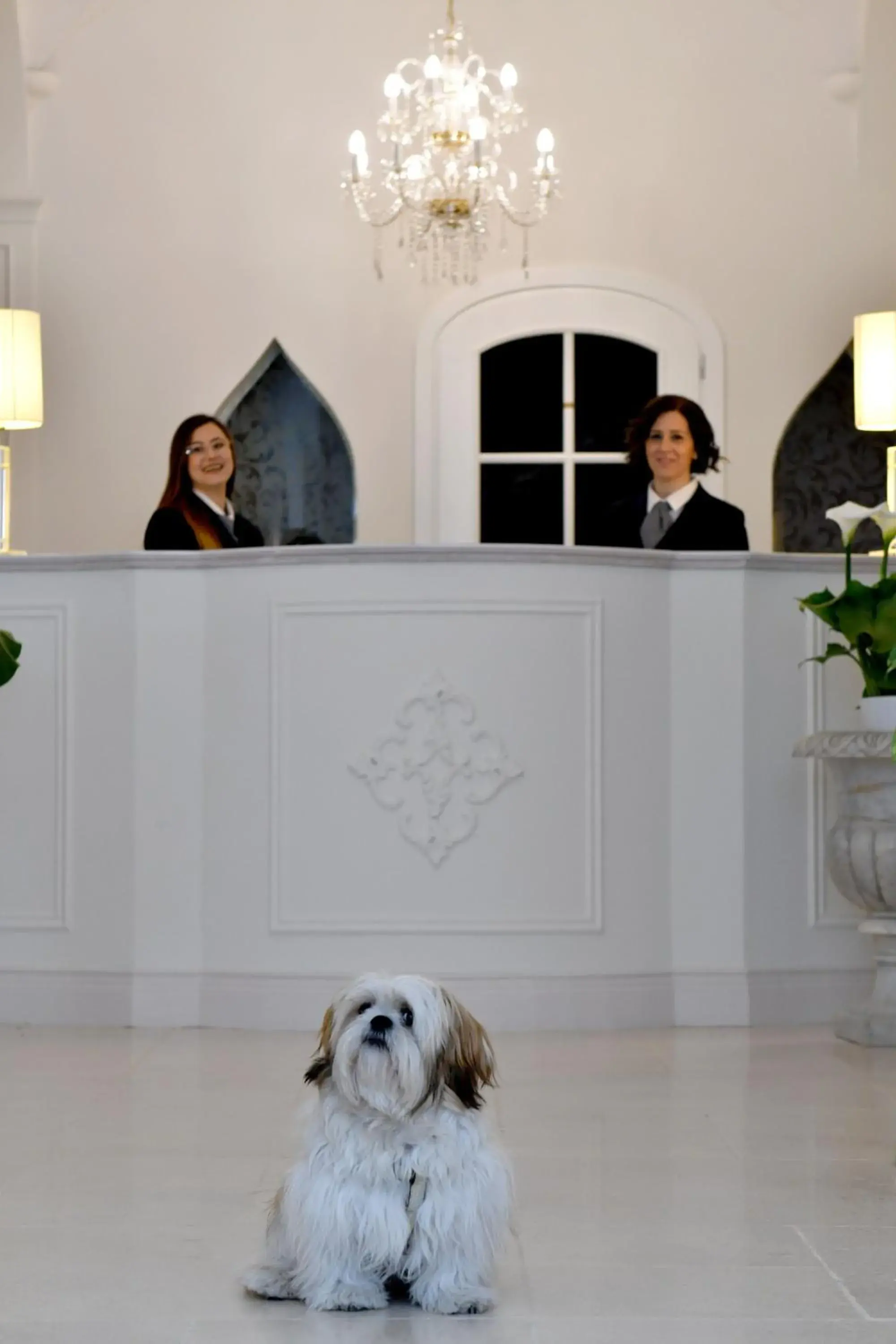 Lobby or reception, Pets in Minori Palace