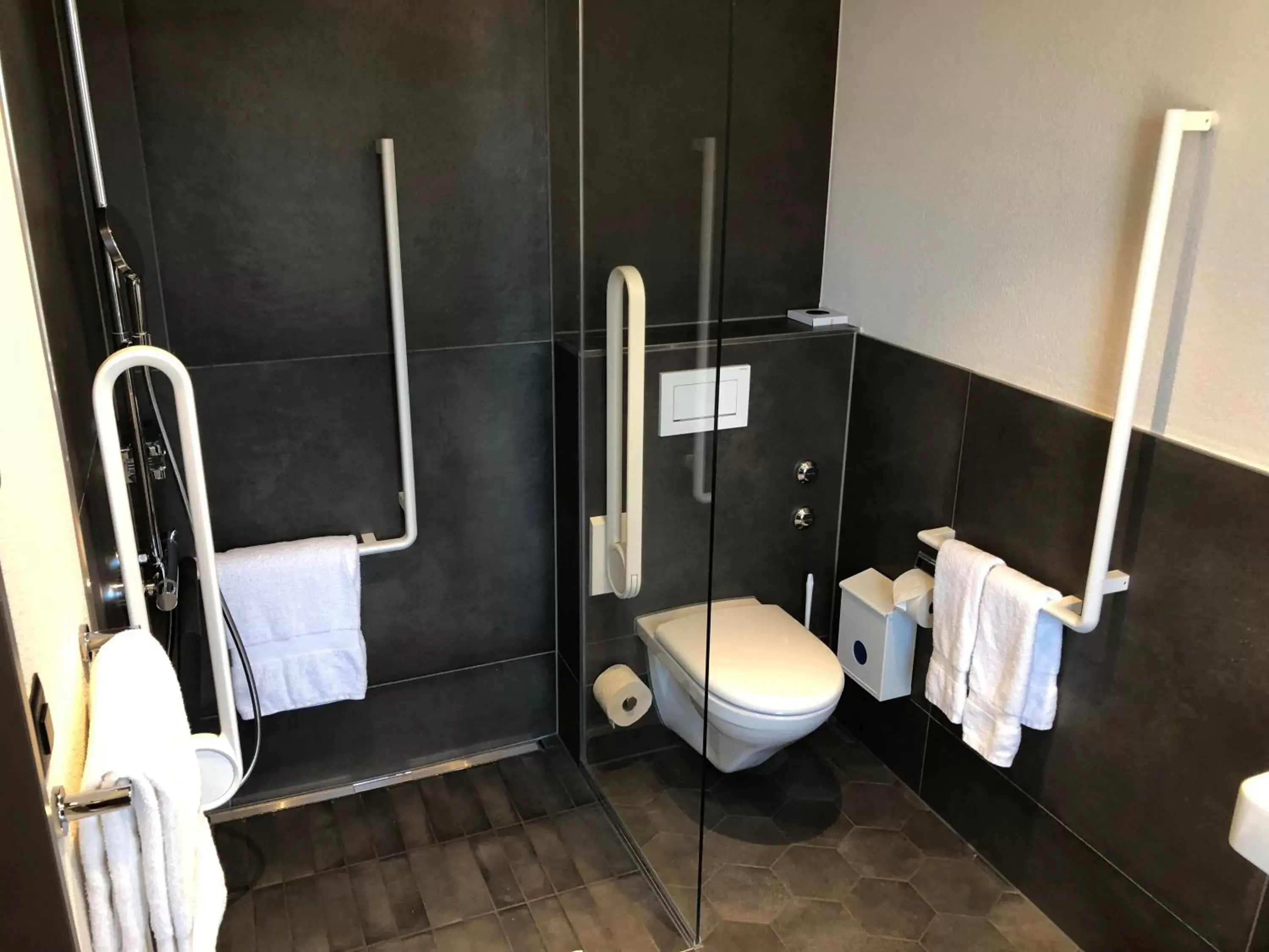 Toilet, Bathroom in Boutique Hotel Sonne Seuzach