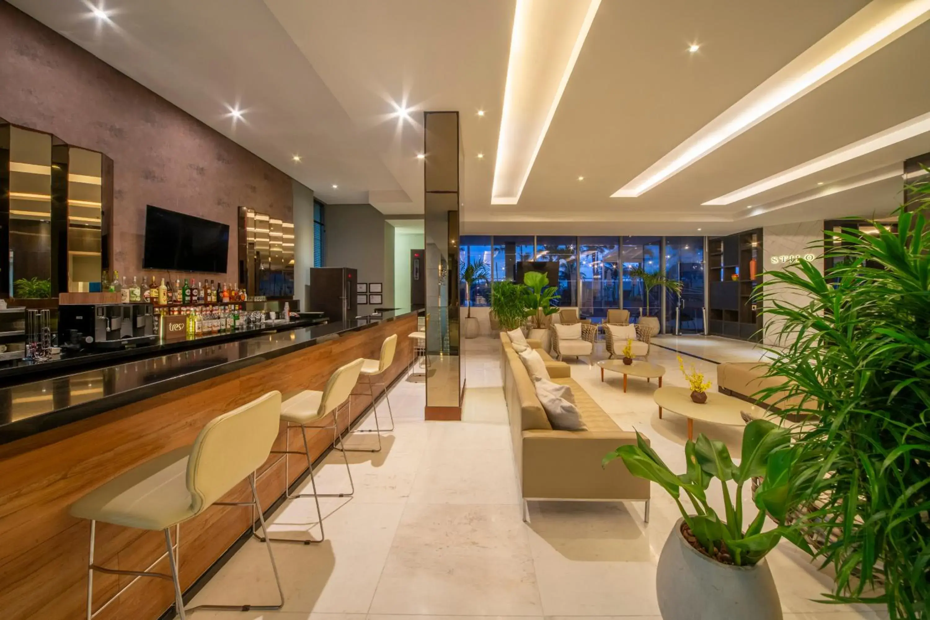 Lounge or bar, Lobby/Reception in Hotel Laghetto Stilo Barra