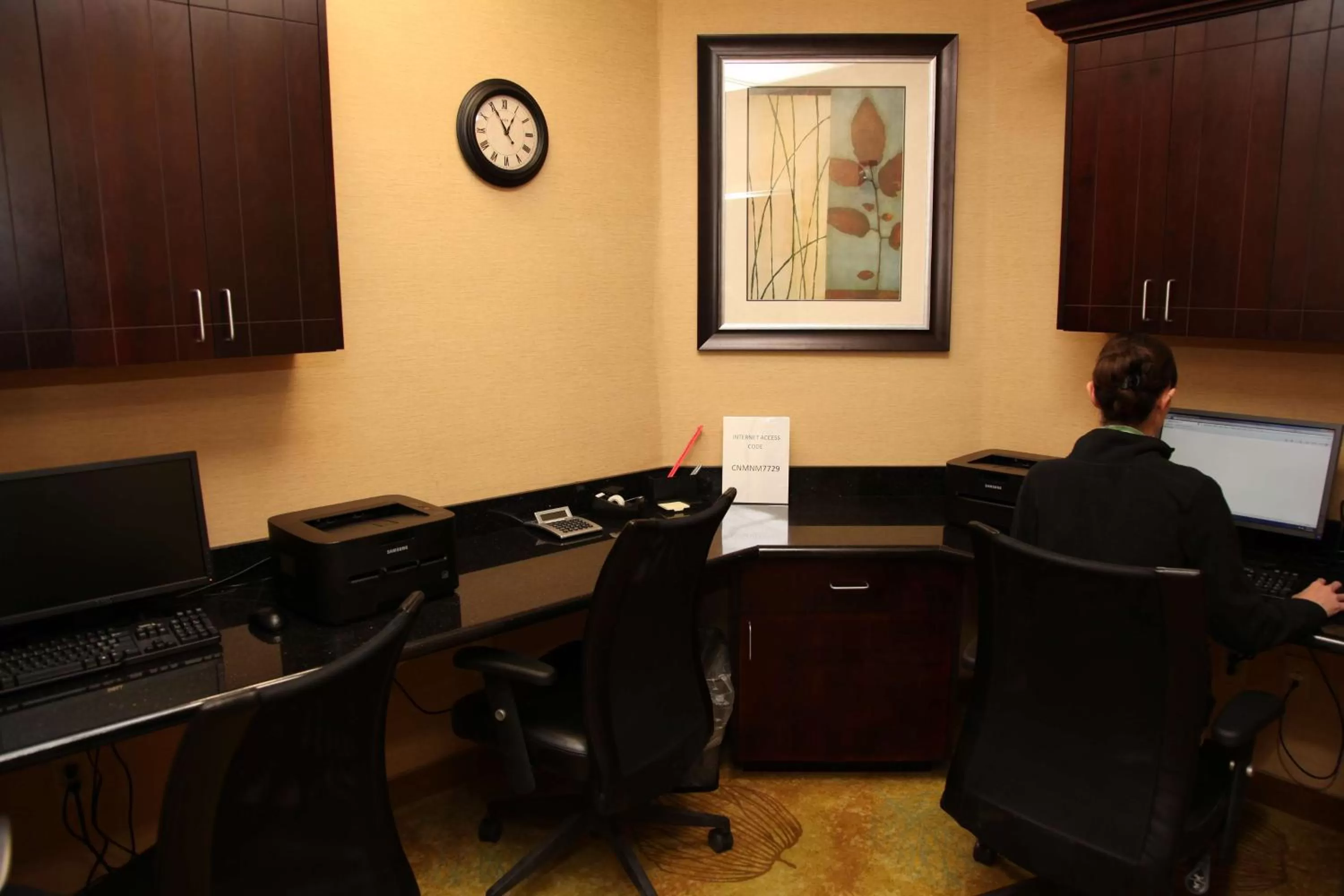 Business facilities in Hampton Inn & Suites Carlsbad