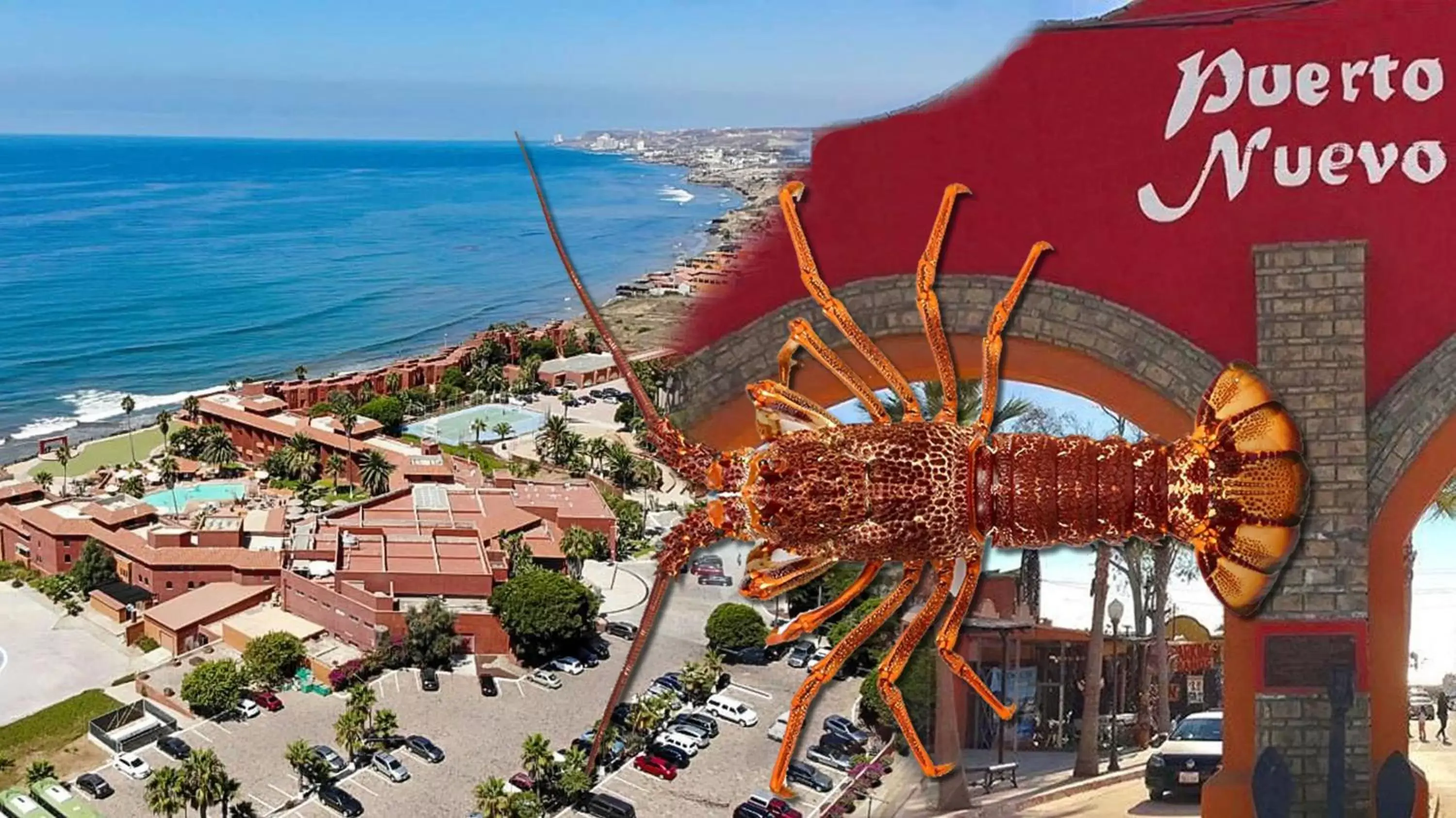 Neighbourhood, Bird's-eye View in Puerto Nuevo Baja Hotel & Villas