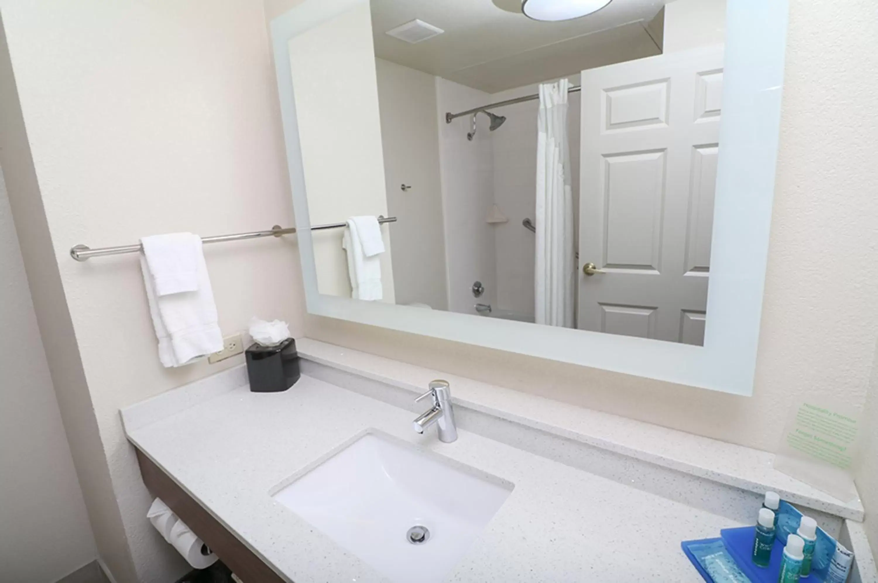 Bathroom in Holiday Inn Express Hotel & Suites Greenville, an IHG Hotel