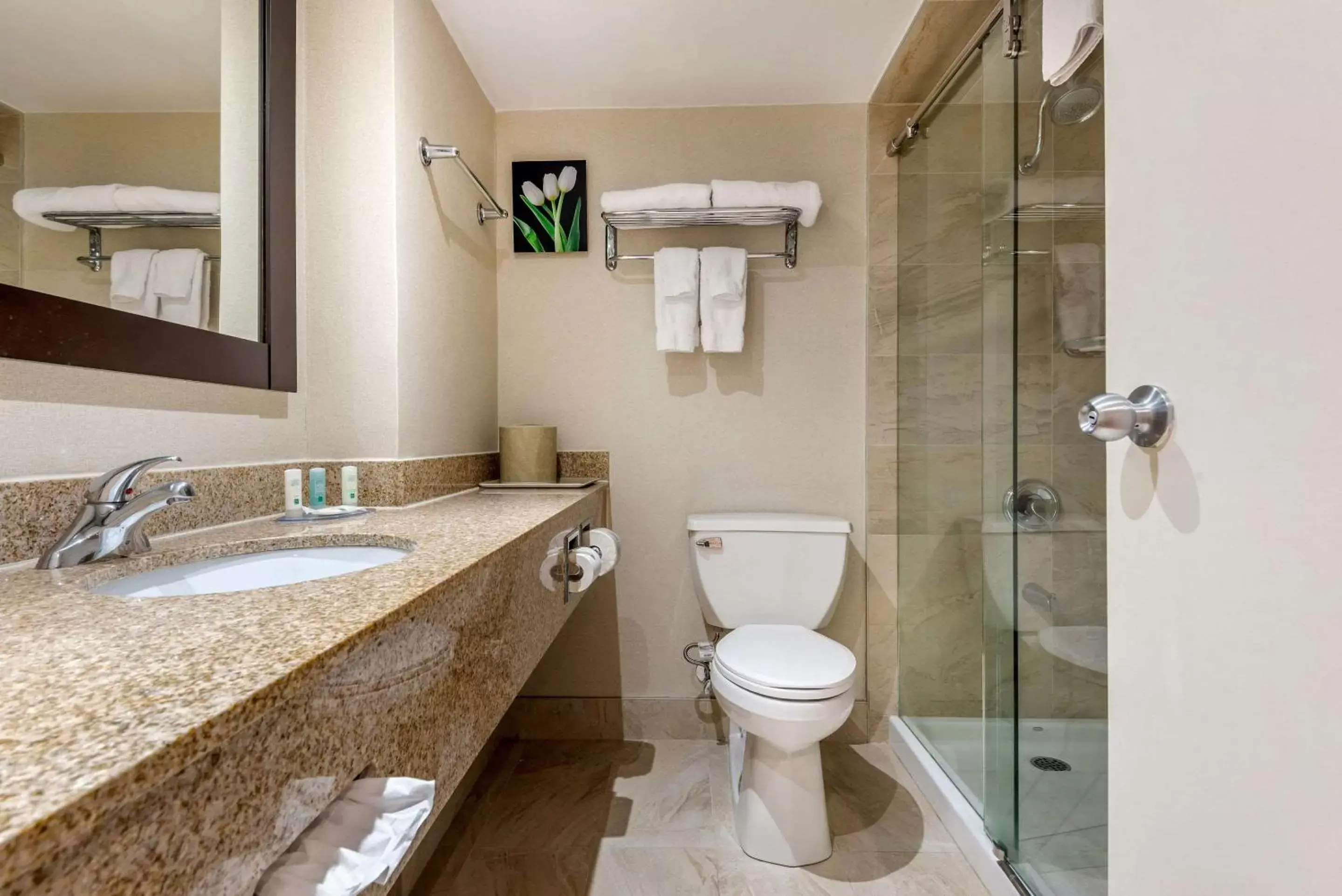 Bathroom in Quality Inn & Suites