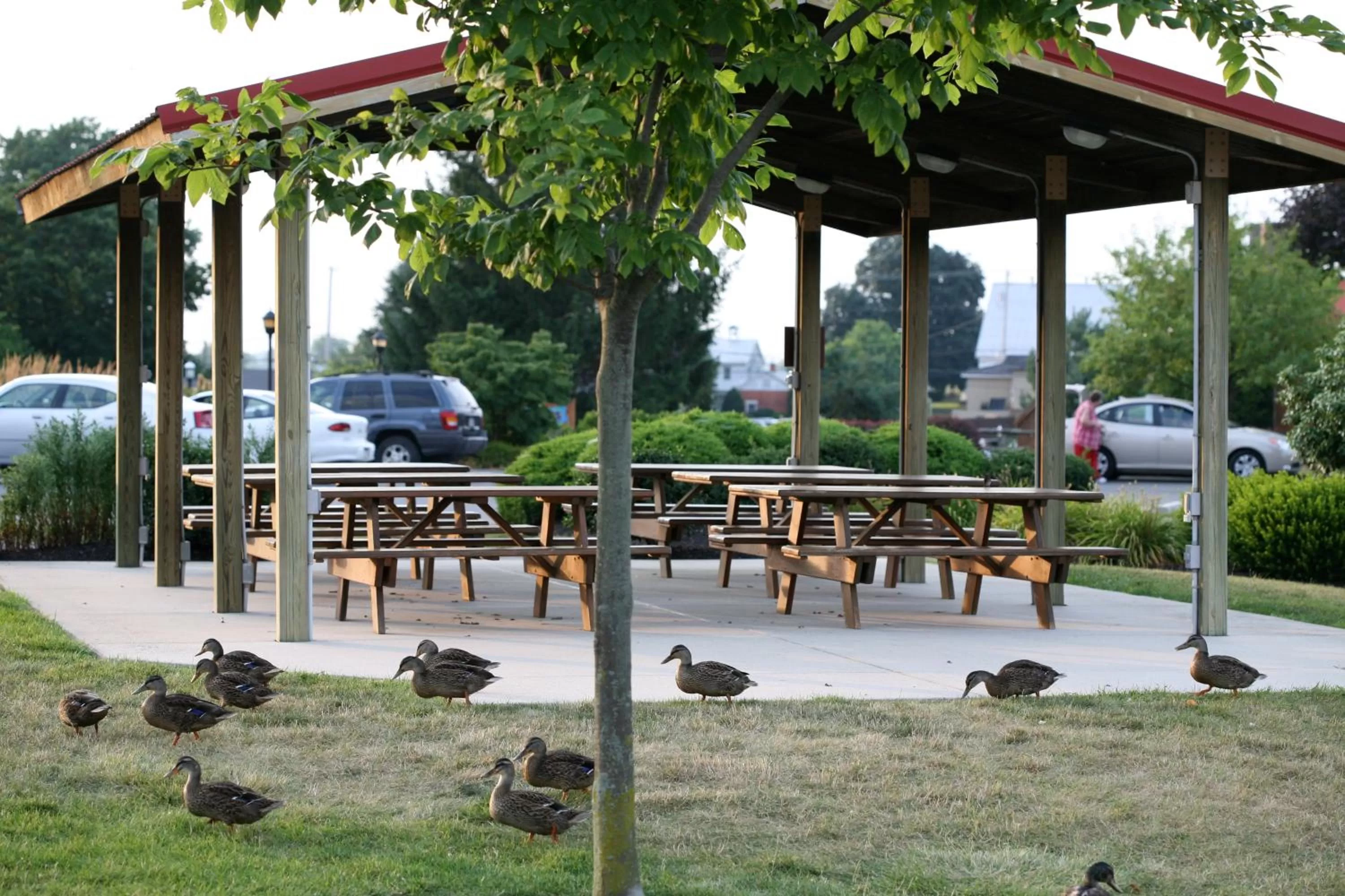 Balcony/Terrace in Bird-in-Hand Family Inn