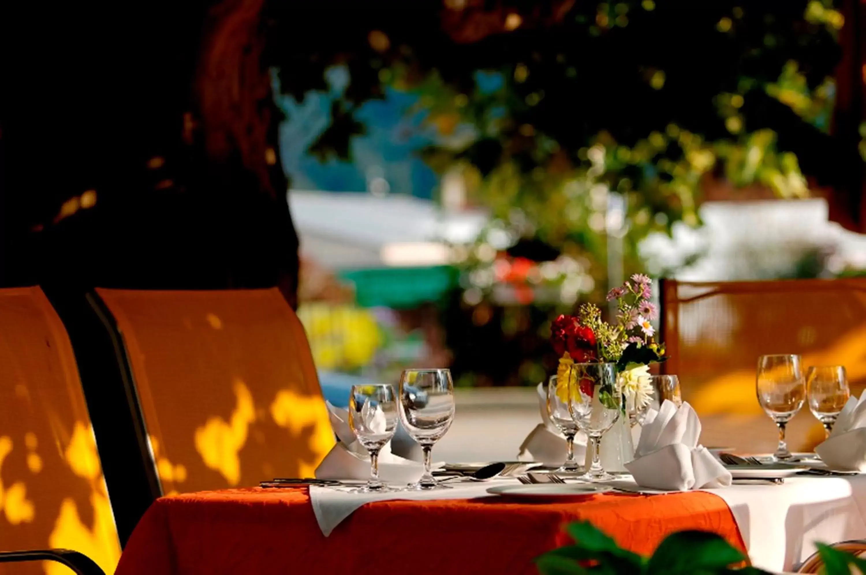 Garden, Restaurant/Places to Eat in Hotel Beausite