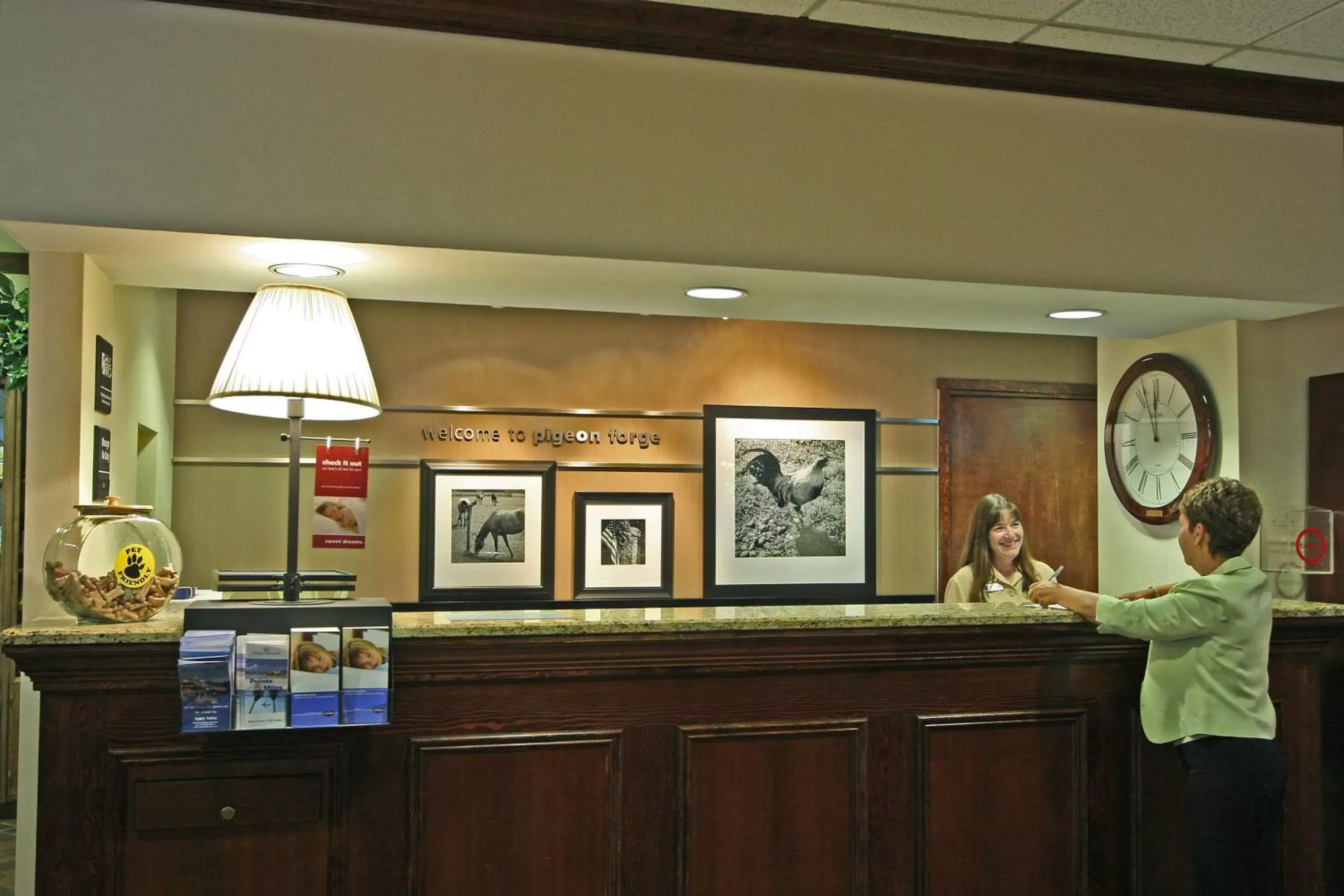 Lobby or reception, Lobby/Reception in Hampton Inn & Suites Pigeon Forge On The Parkway