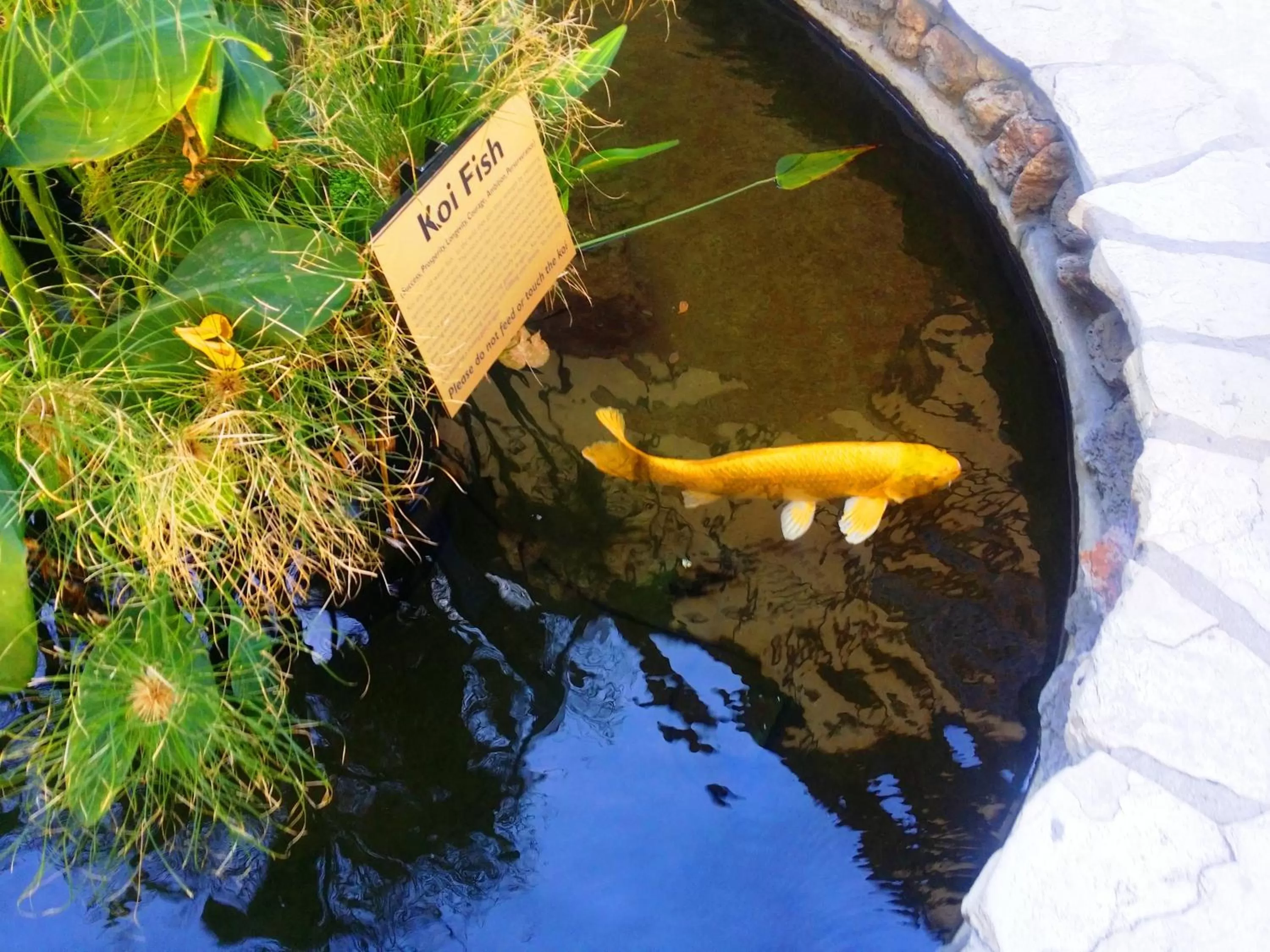 Decorative detail in Anaheim Majestic Garden Hotel