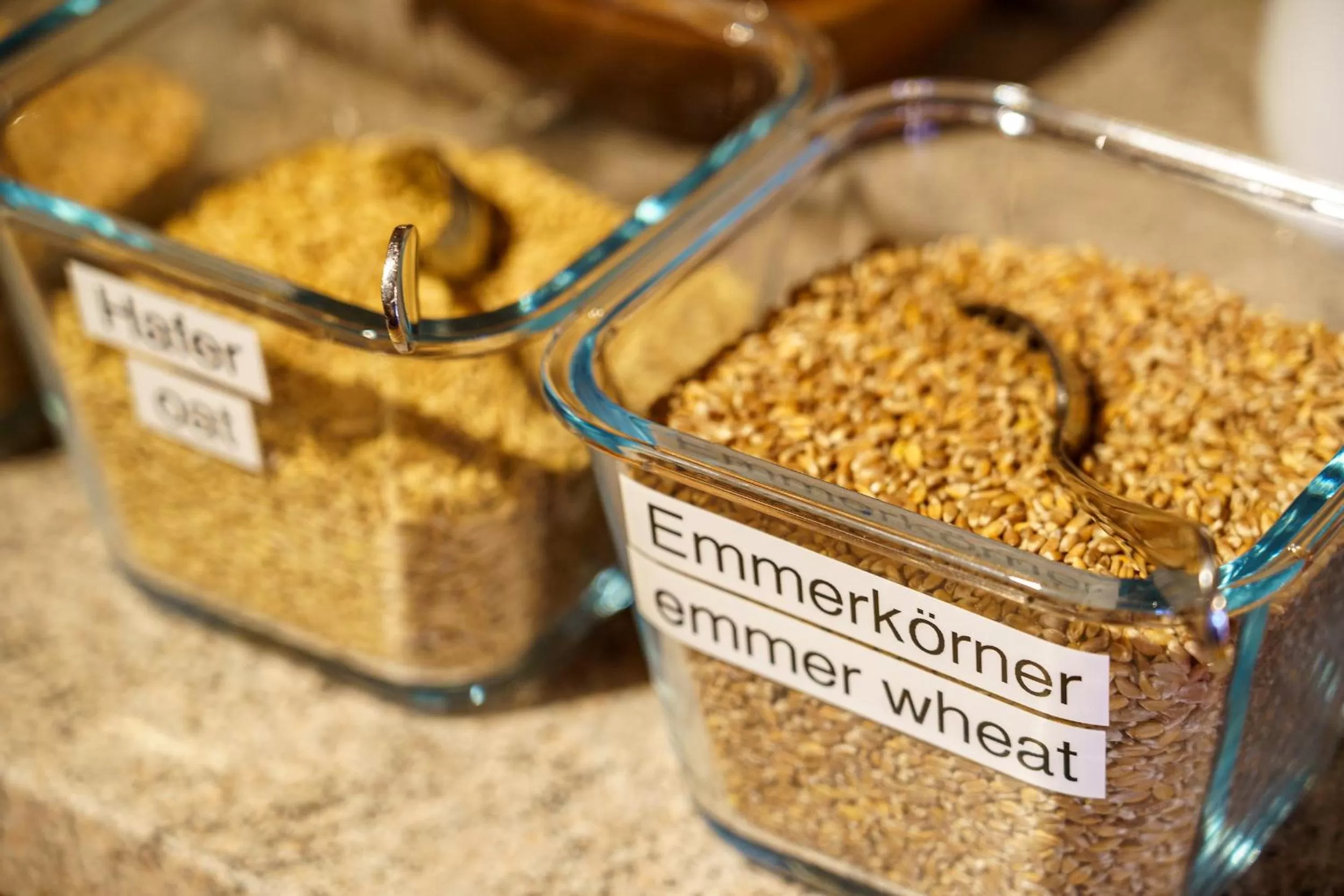 Food in Hotel Silvapina