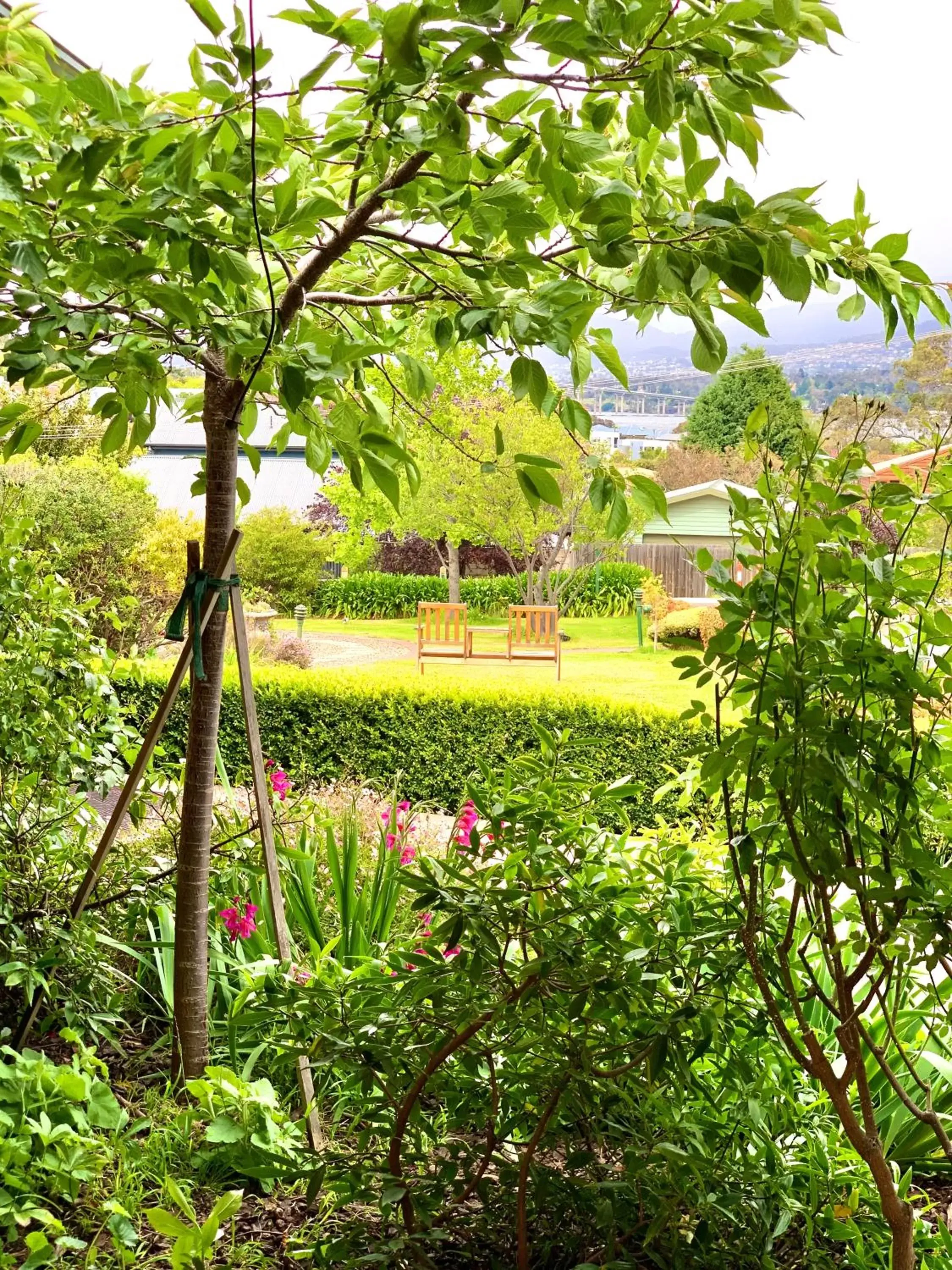 Garden in Orana House