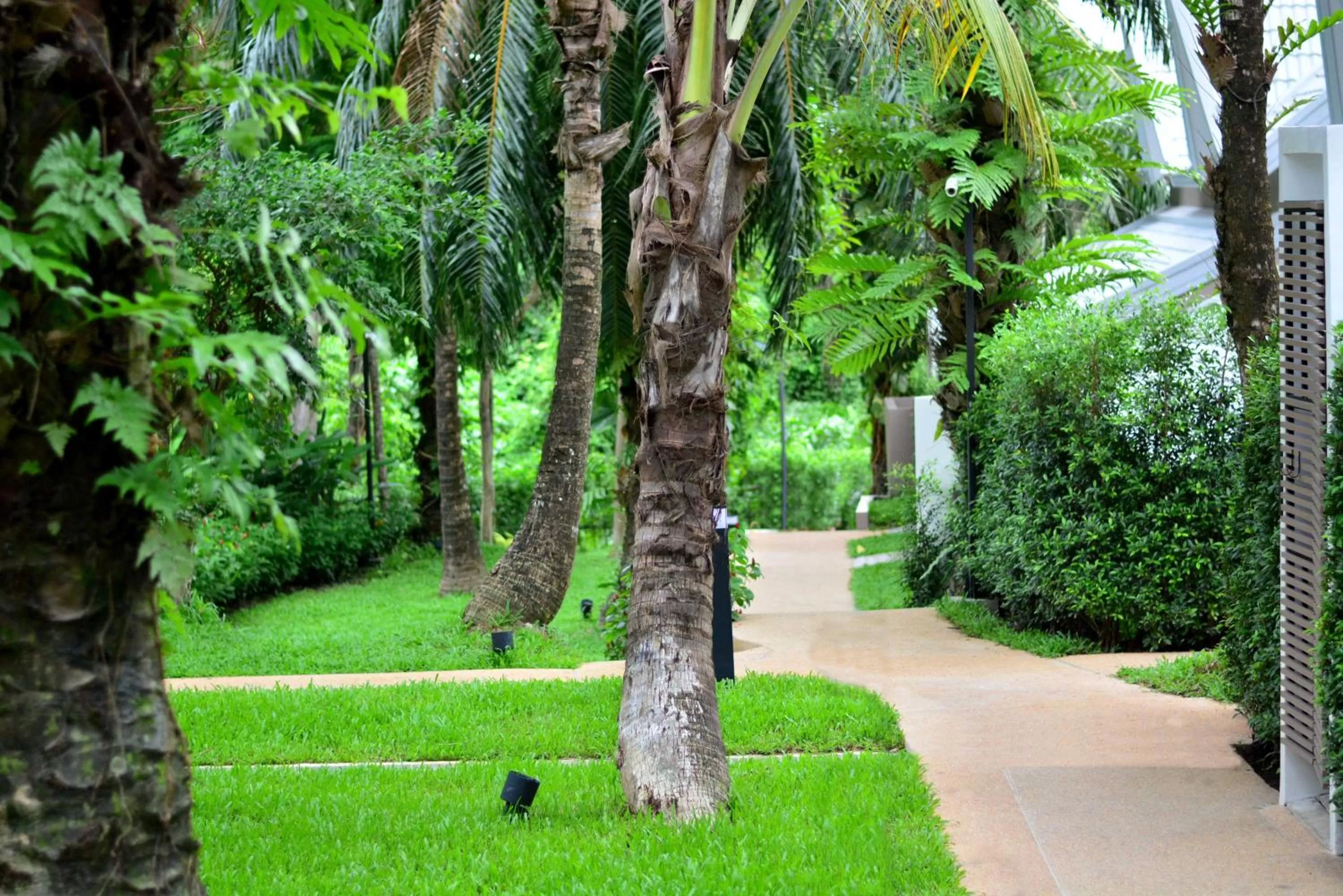 Other in Deevana Krabi Resort