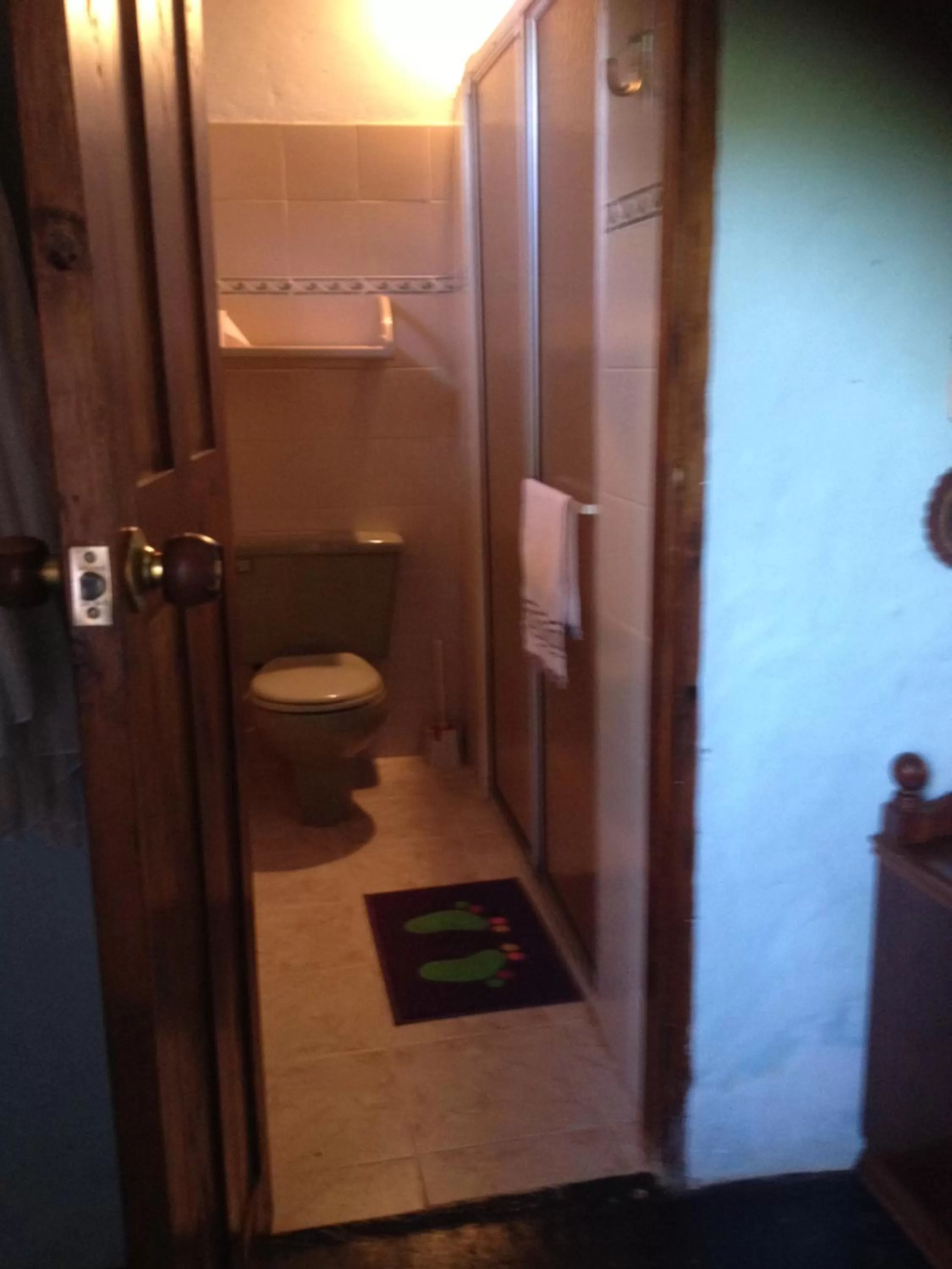 Bathroom in Casa finca típica the lake hotel