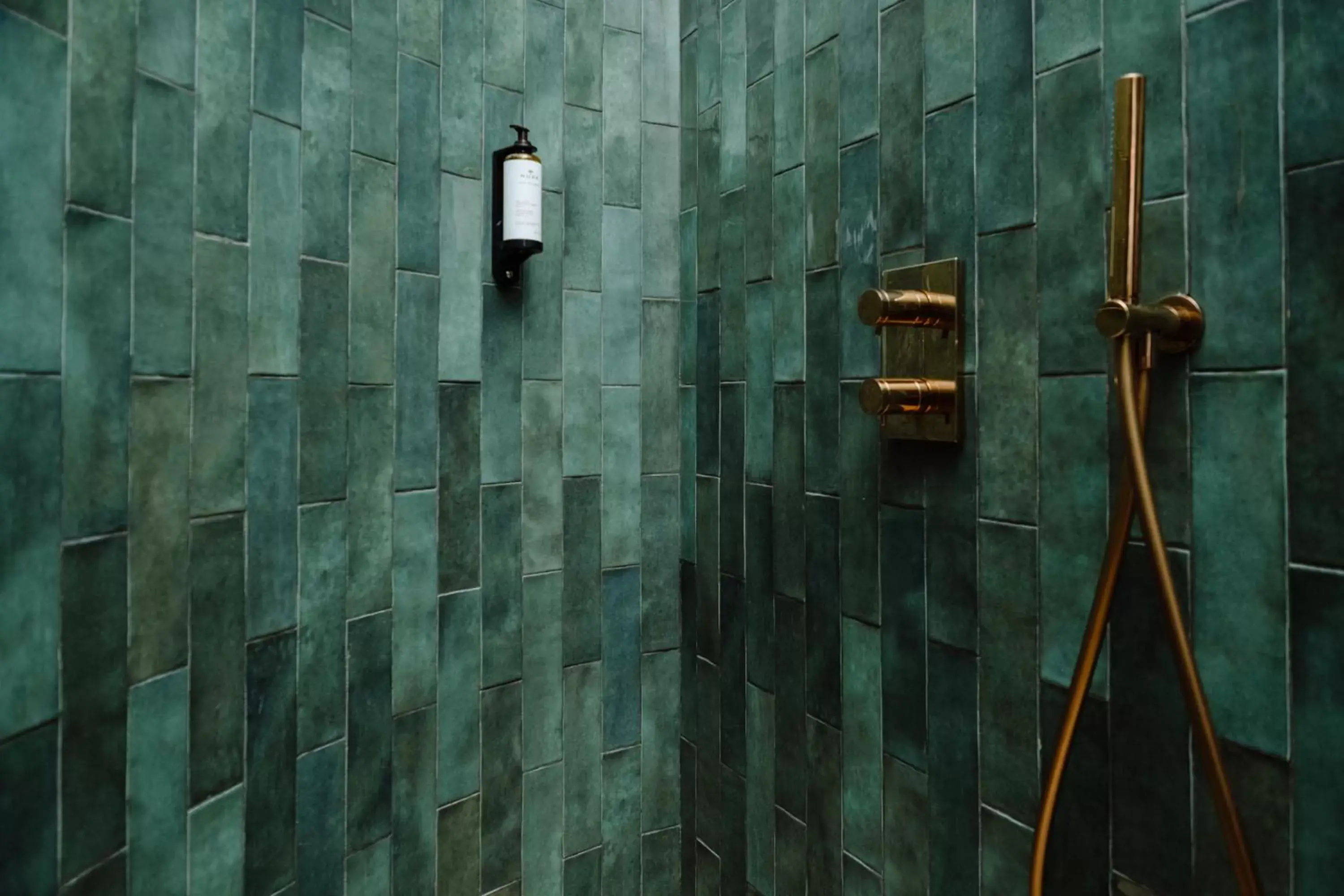 Shower, Bathroom in Hôtel Maison Pavlov