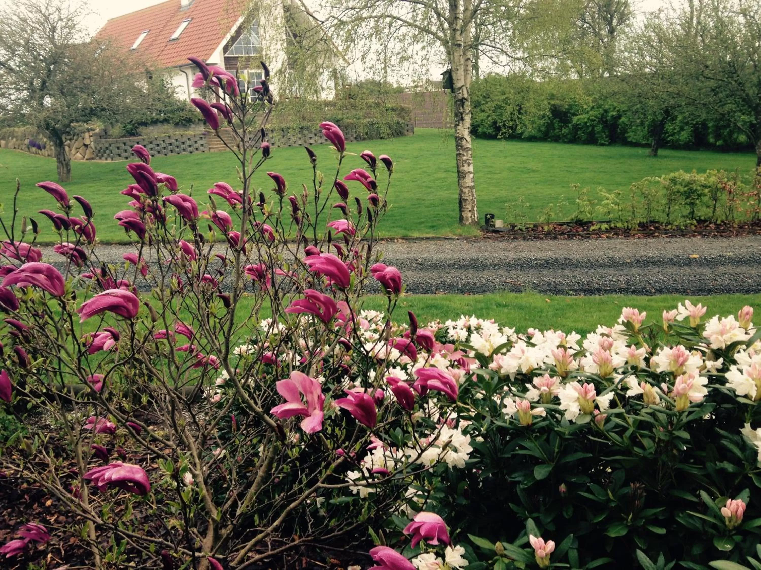 Property building in Margretelyst