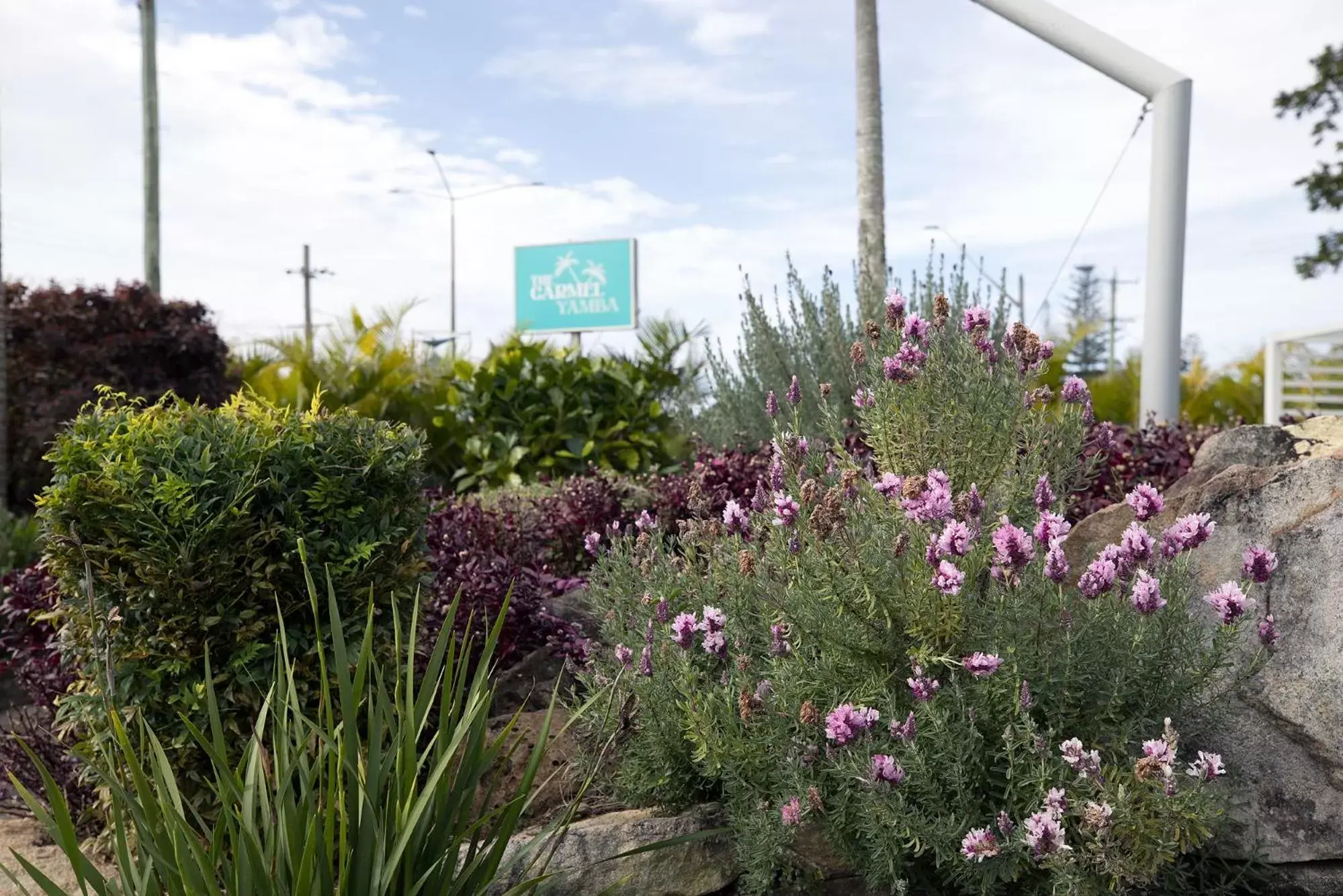 Swimming pool in The Carmel Yamba Swimming pool in The Carmel Yamba