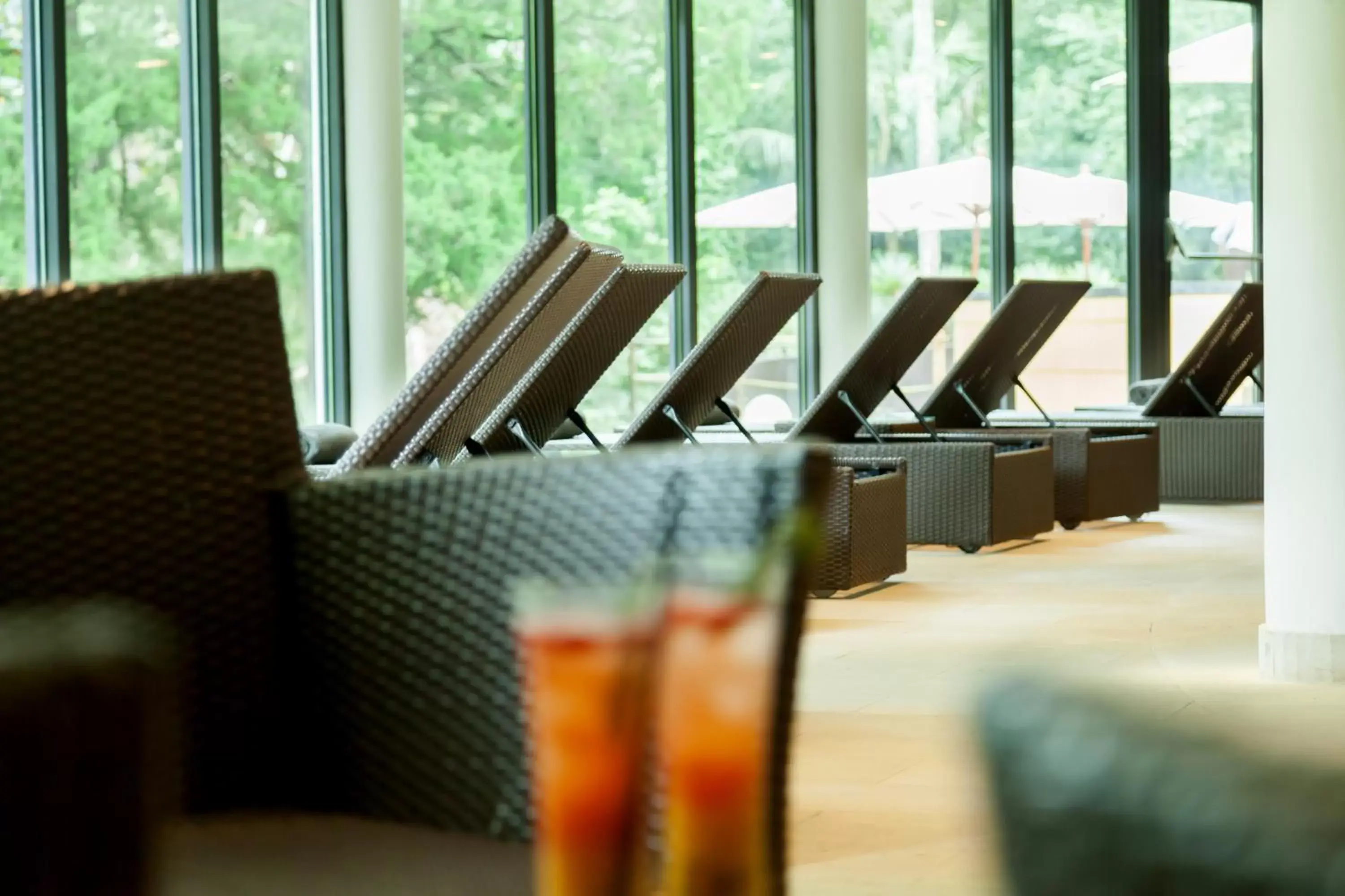 Swimming pool in Terra Nostra Garden Hotel Swimming pool in Terra Nostra Garden Hotel