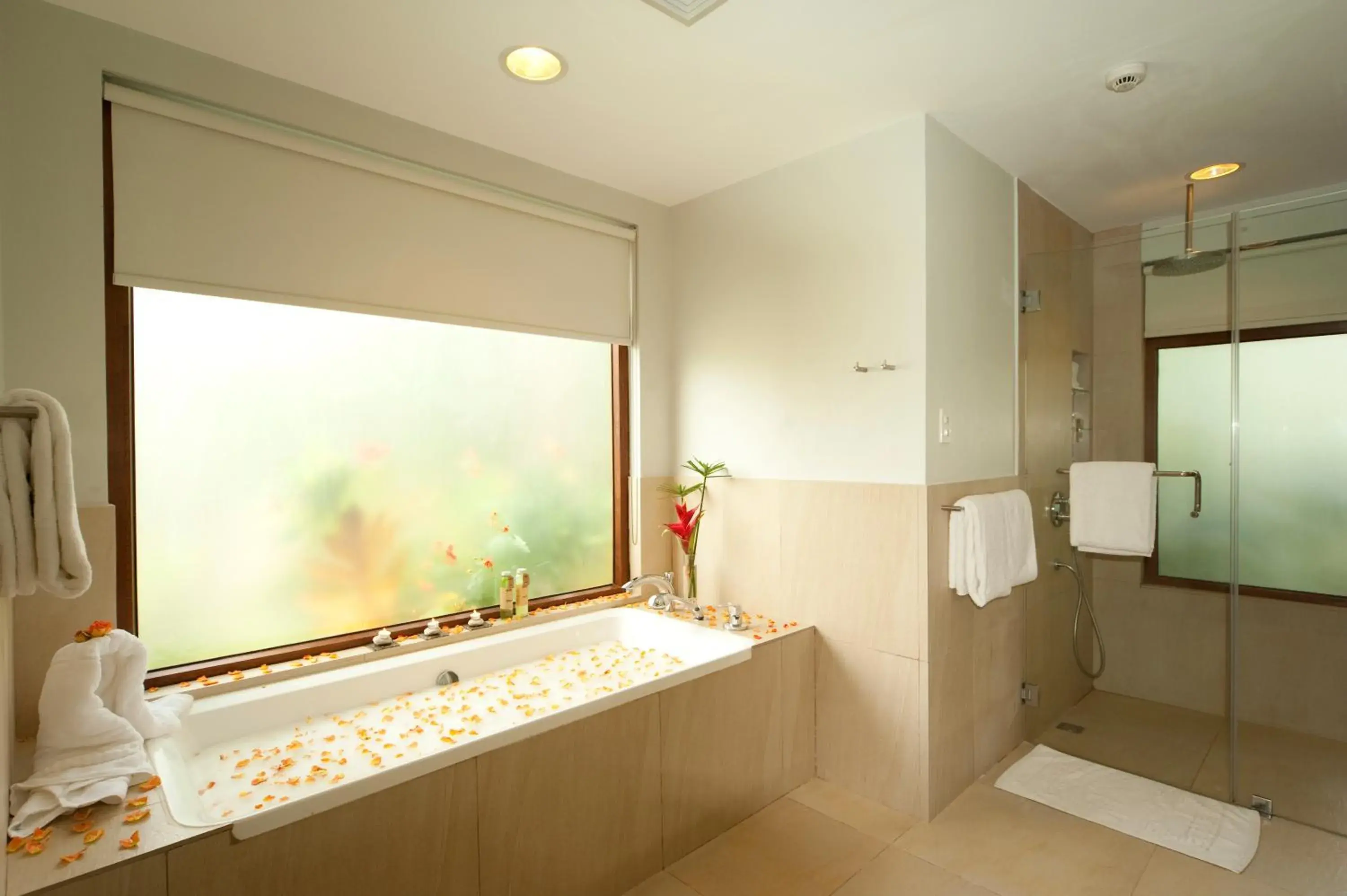 Shower, Bathroom in Misibis Bay