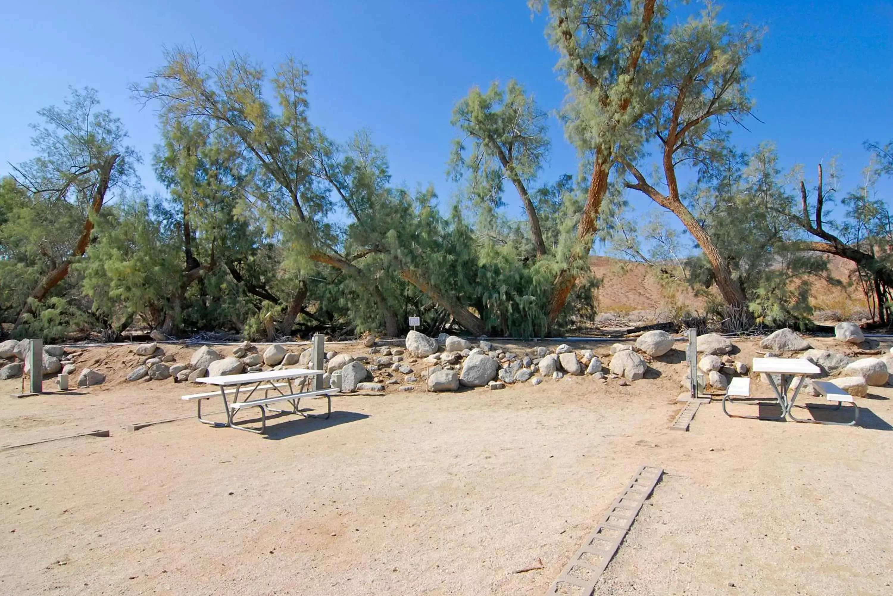Natural landscape, Beach in Palm Canyon Hotel and RV Resort