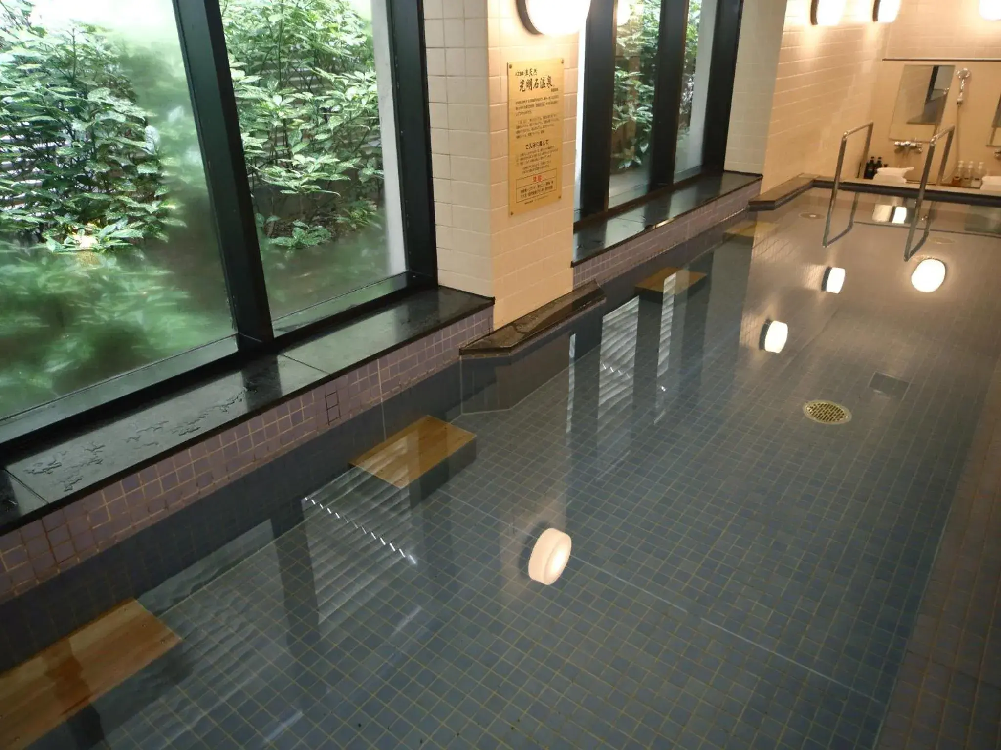 Public Bath, Swimming Pool in Hotel Nikko Nara