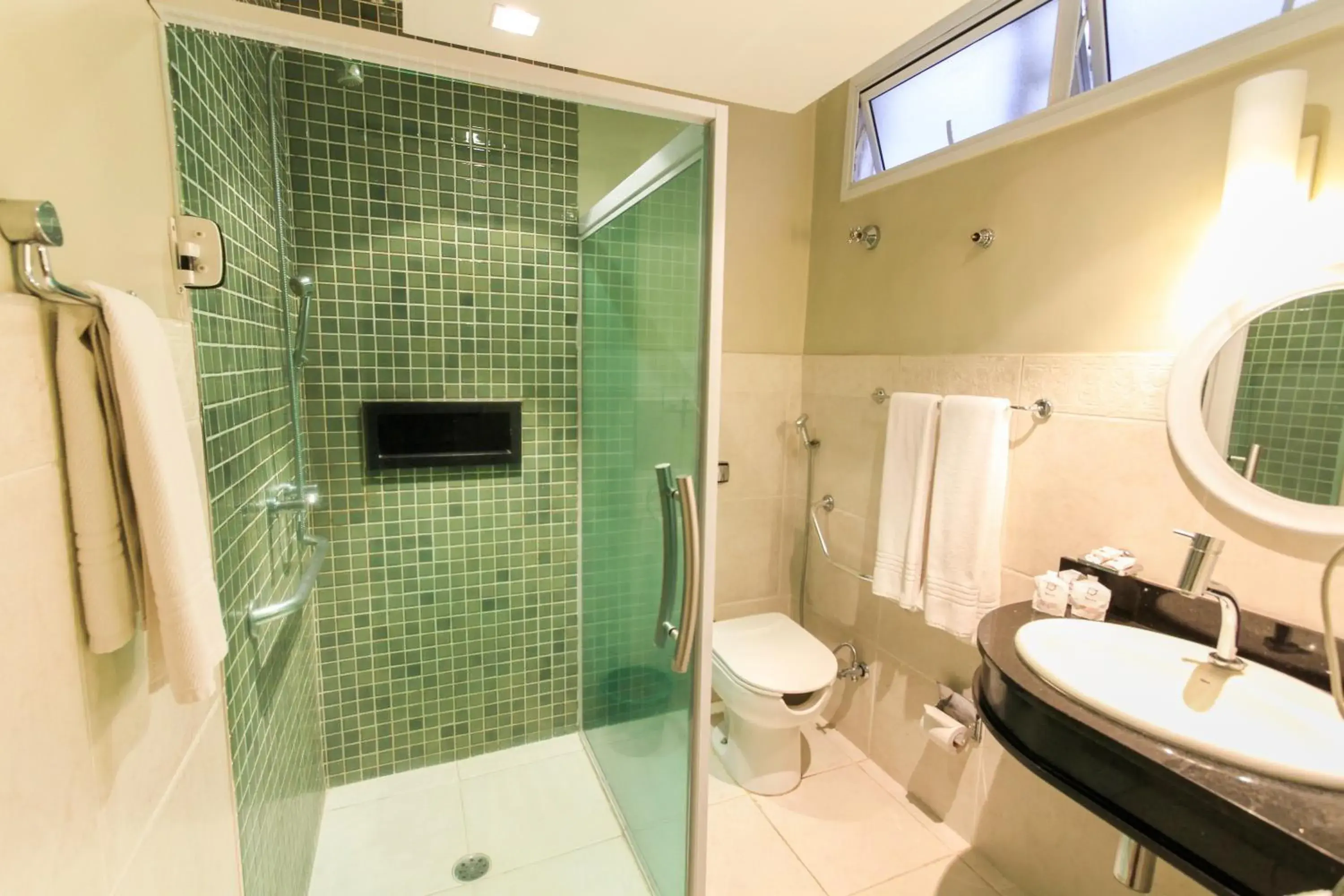 Shower, Bathroom in Hotel Plaza Apolo