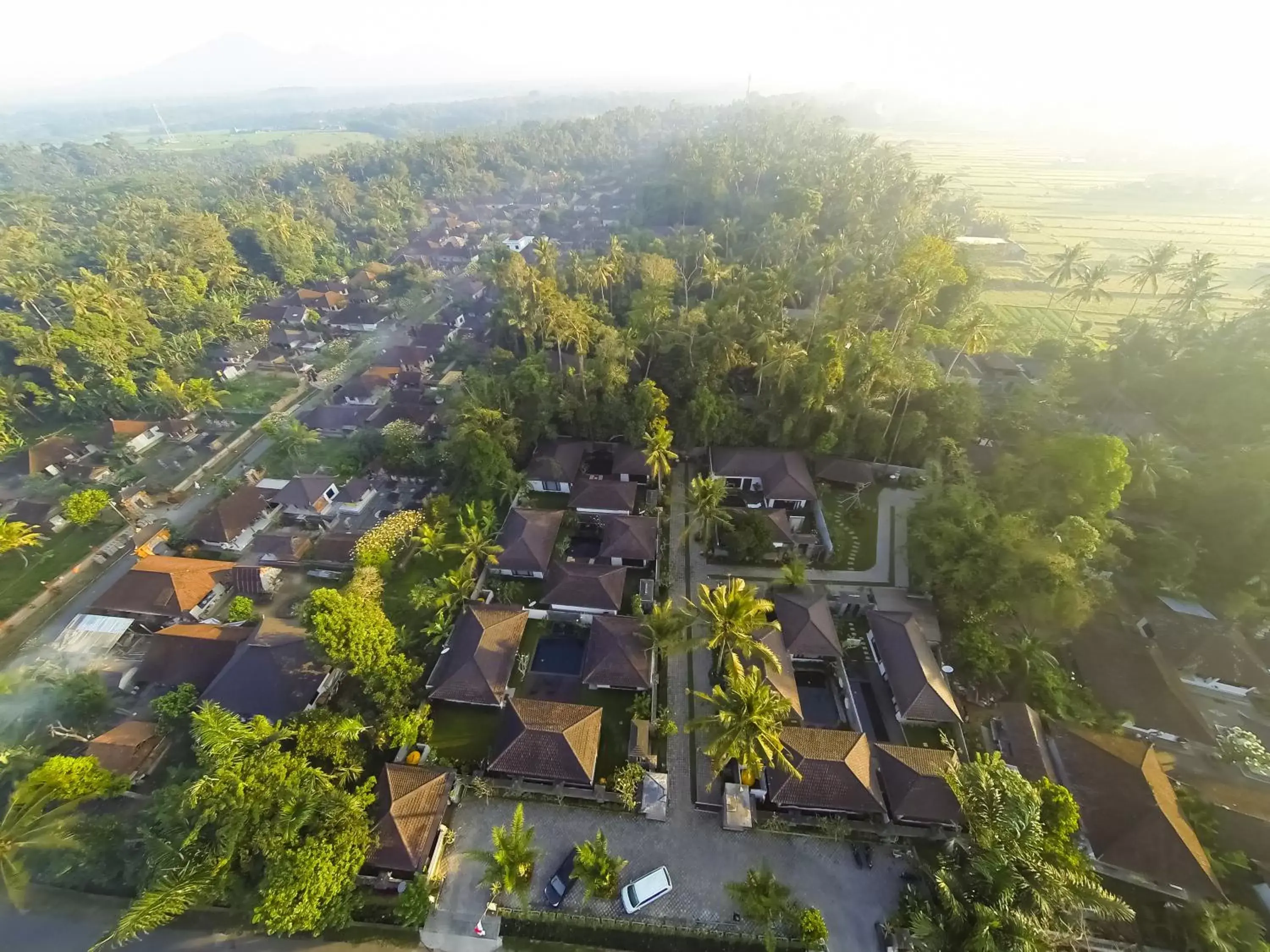 Natural landscape, Bird's-eye View in Ubud Raya Villa