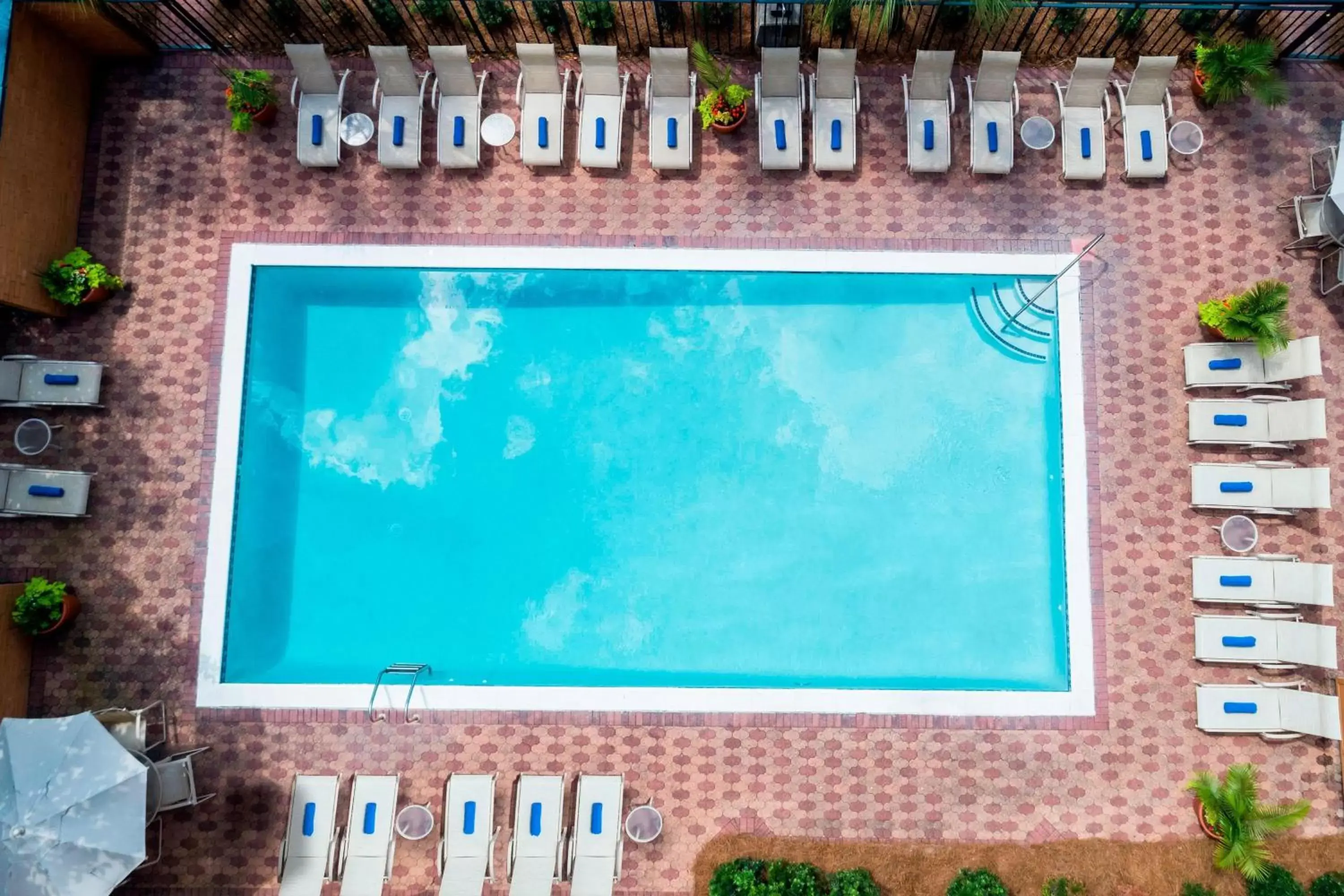 Swimming pool, Pool View in Marriott Savannah Riverfront