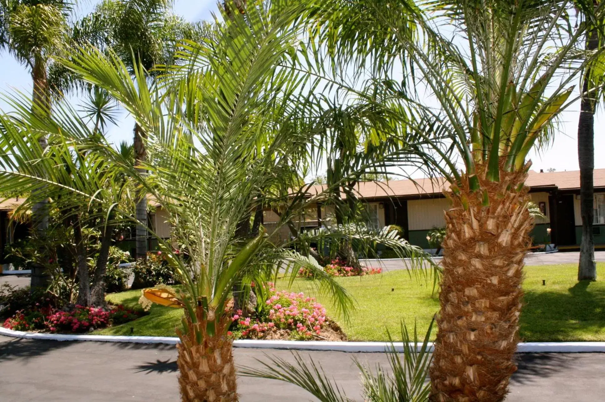 Day, Garden in Palm Tropics Motel