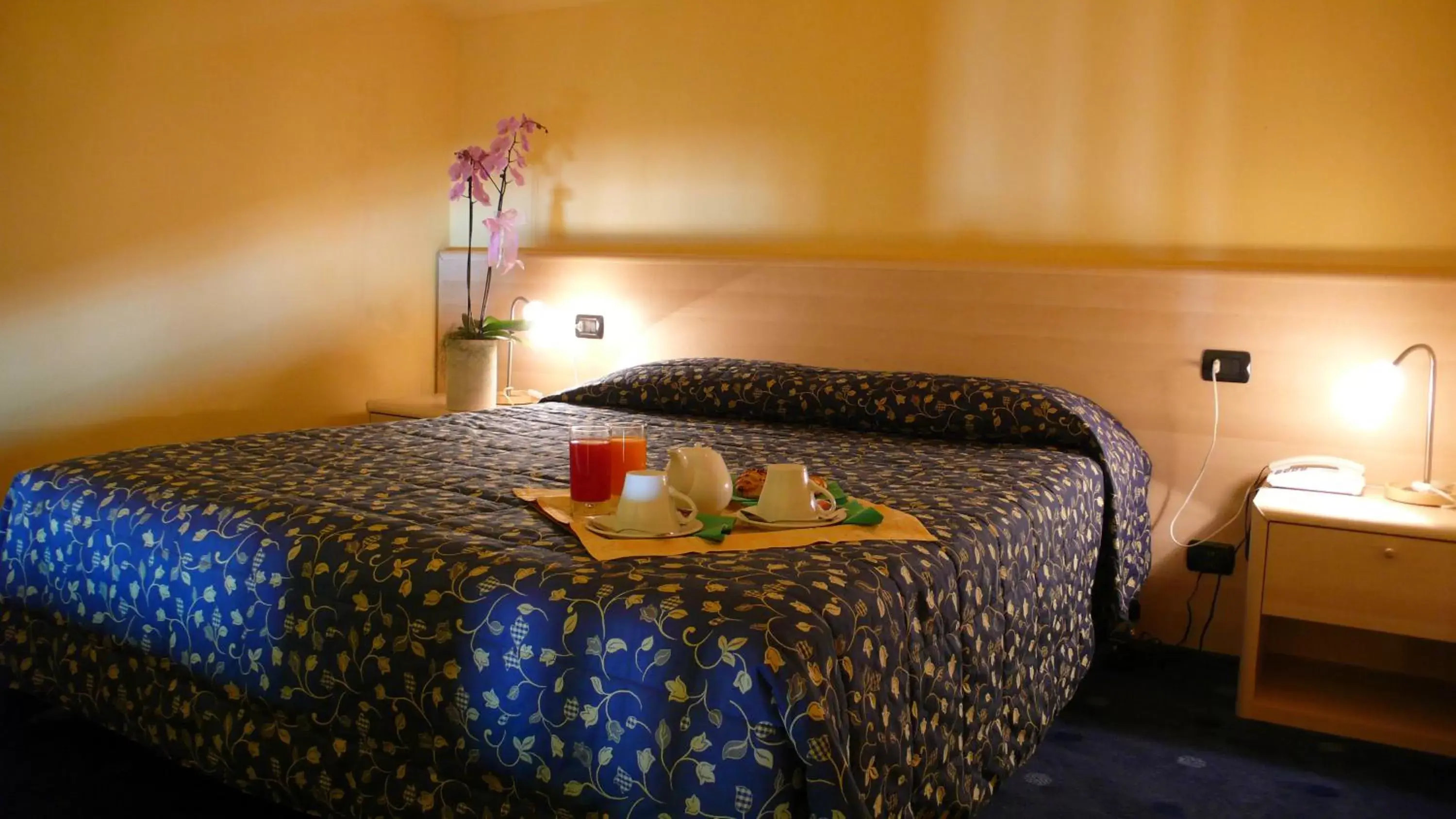 Single Room in Hotel Ristorante La Perla