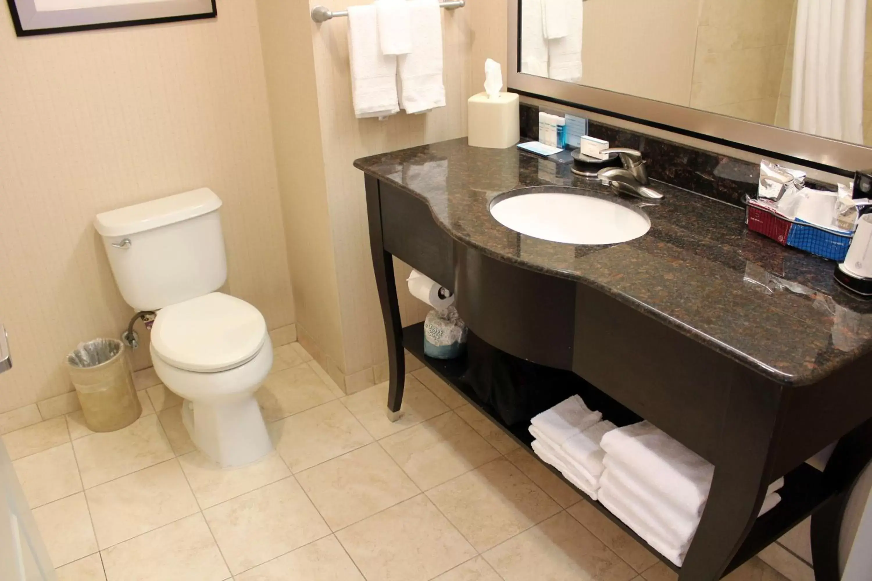 Bathroom in Hampton Inn & Suites Mount Pleasant