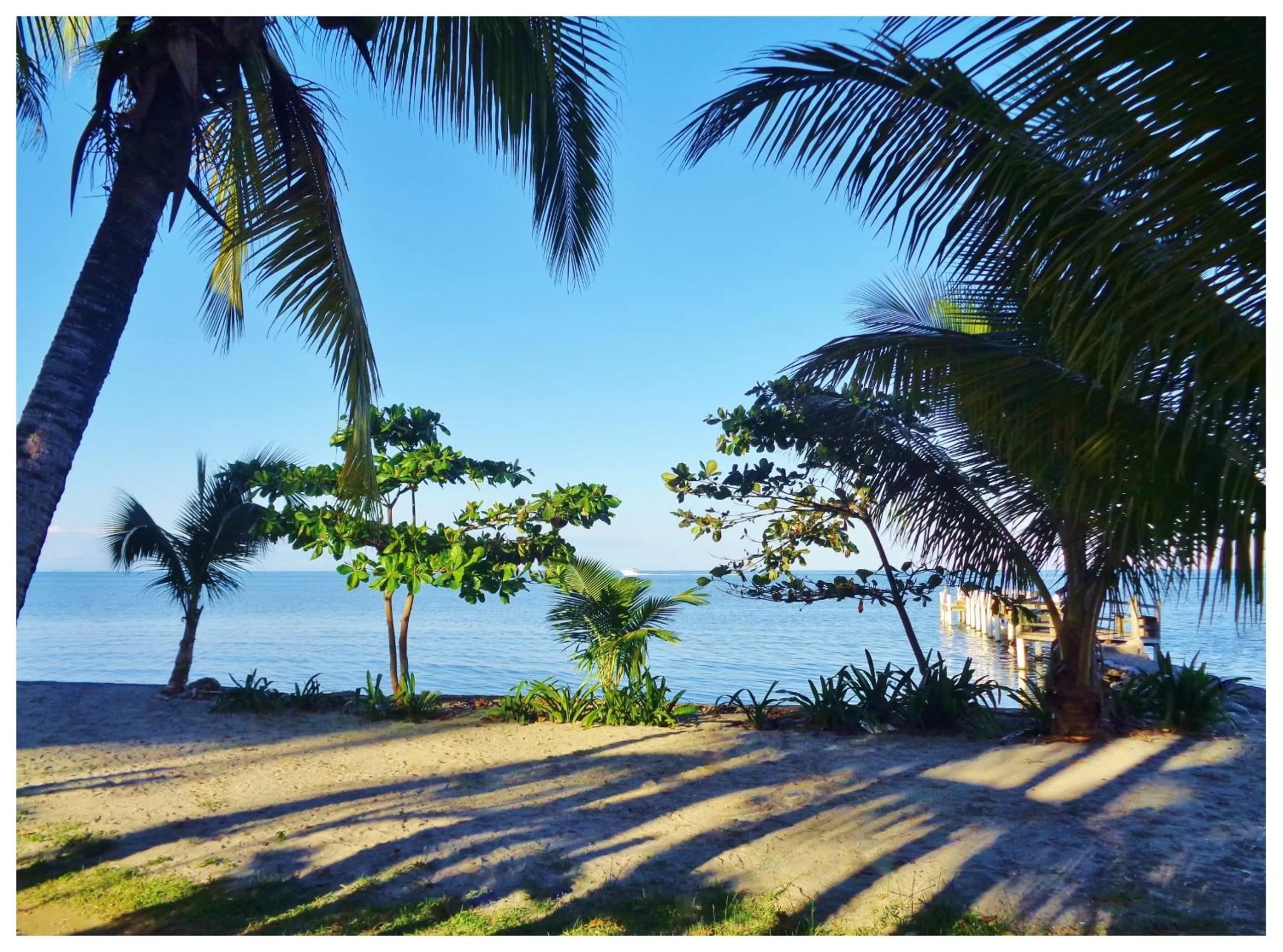 Natural landscape in Livingston Resort Hotel
