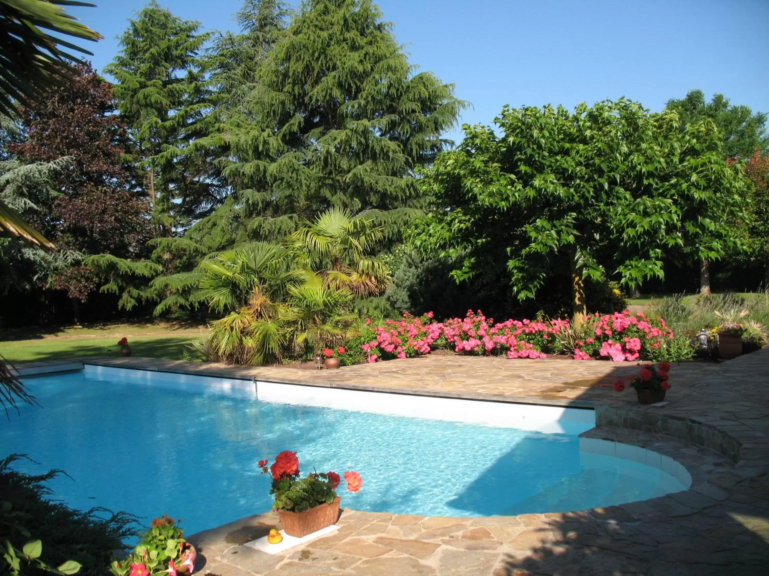 Swimming Pool in Chambres d'Hôtes Le Mûrier