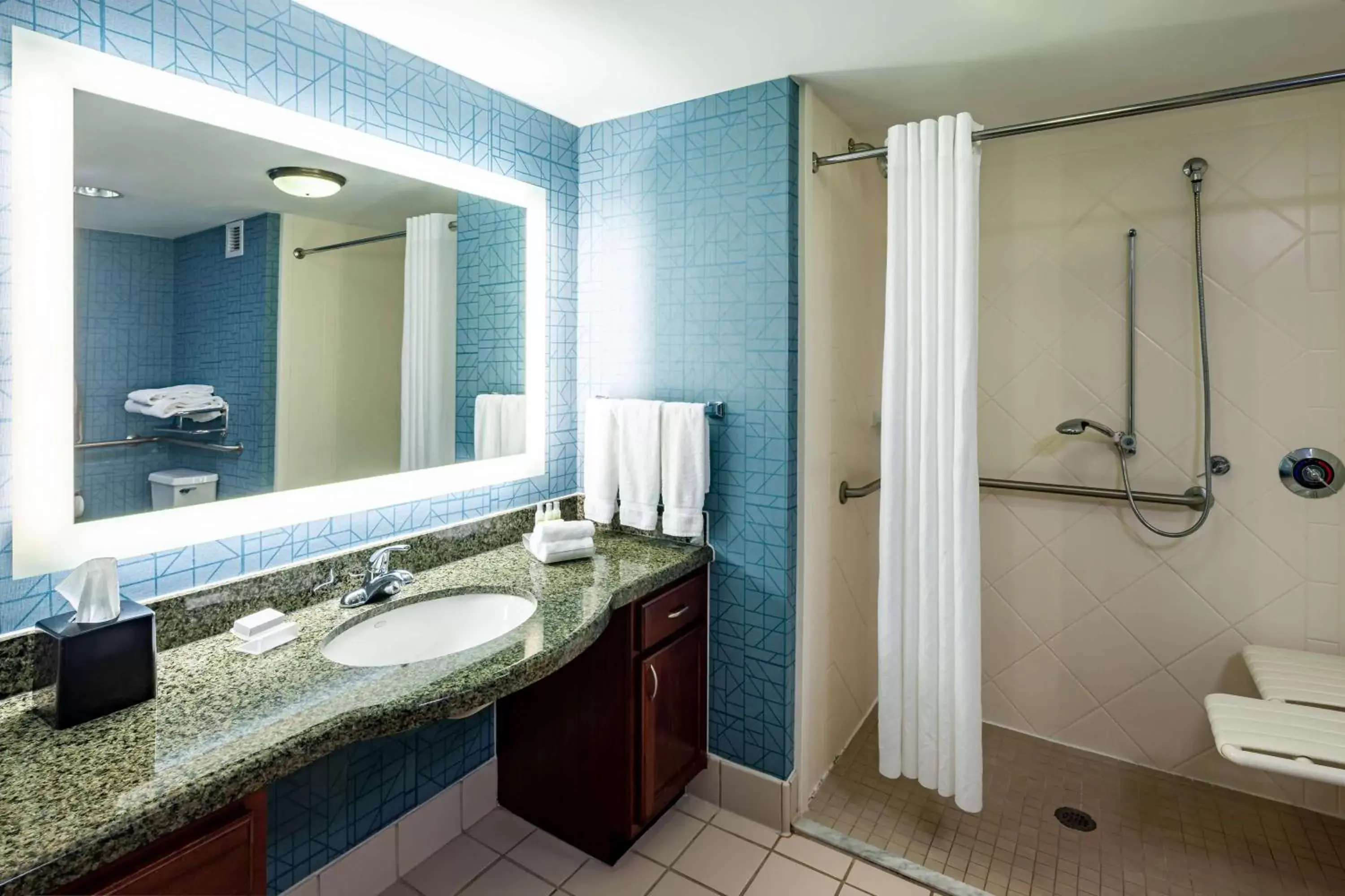 Bathroom in Homewood Suites by Hilton Jacksonville-South/St. Johns Ctr.