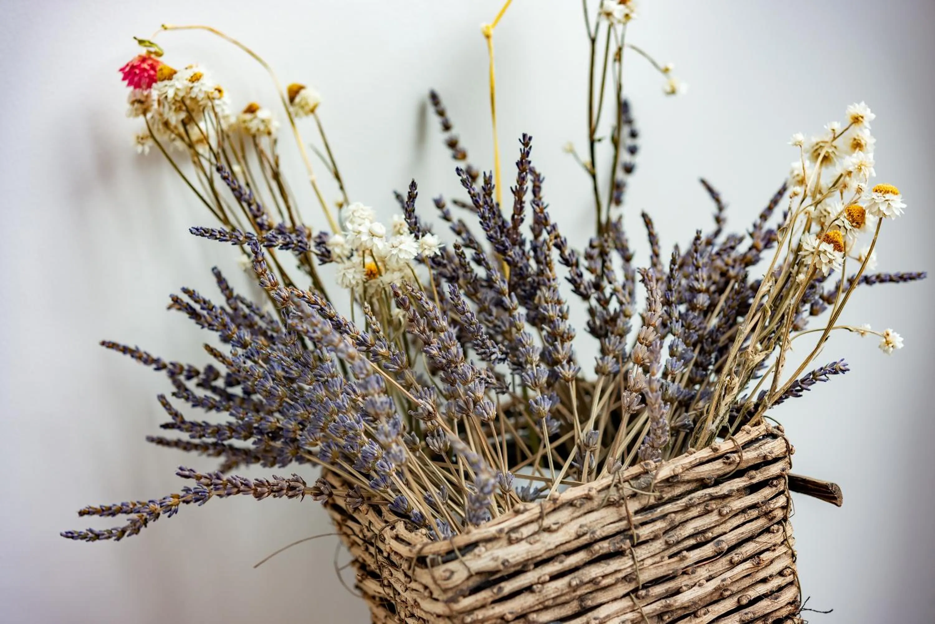 Decorative detail in plat hostel keikyu sapporo sky