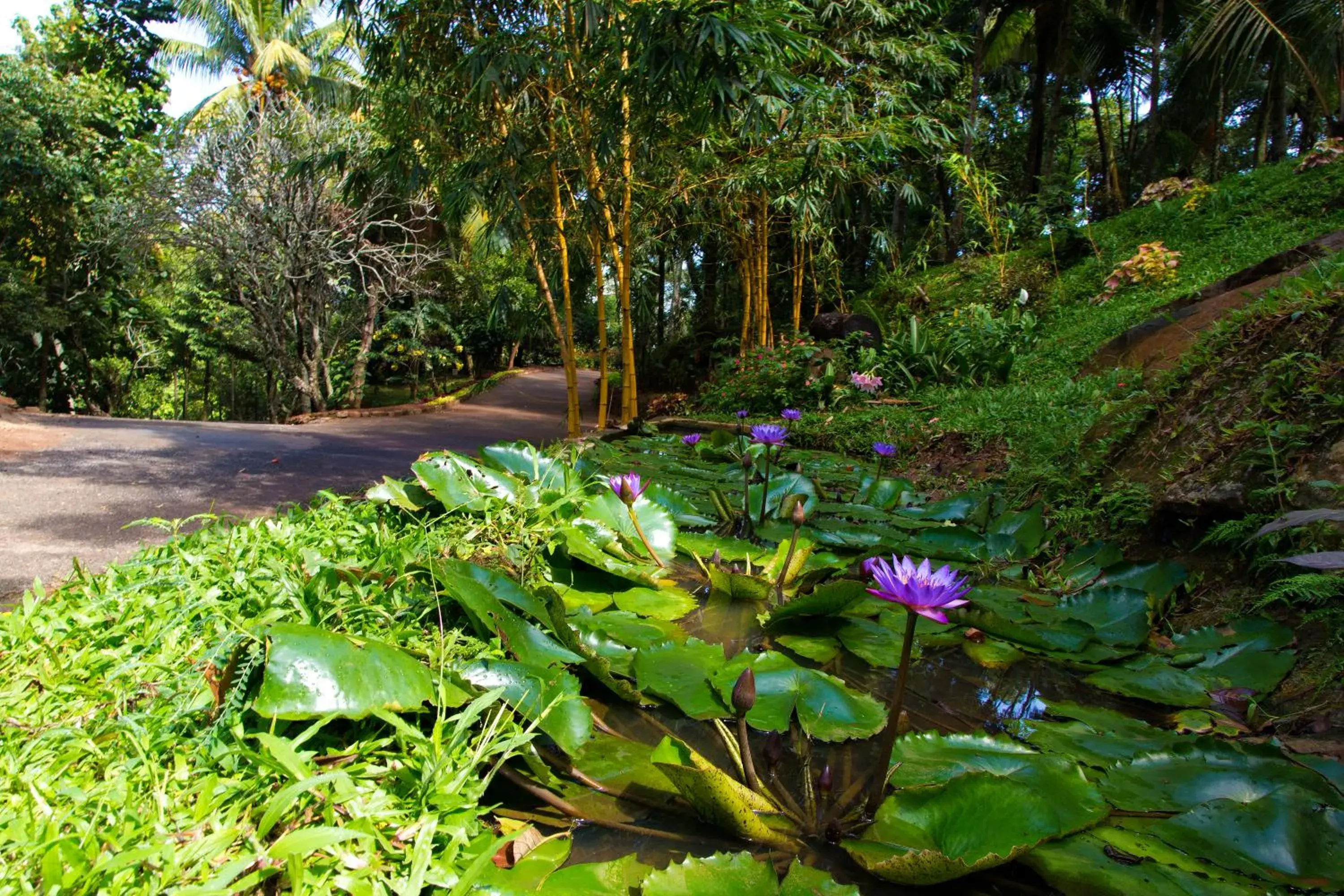 Facade/entrance, Garden in Hanthana Boutique Villa by Amaya