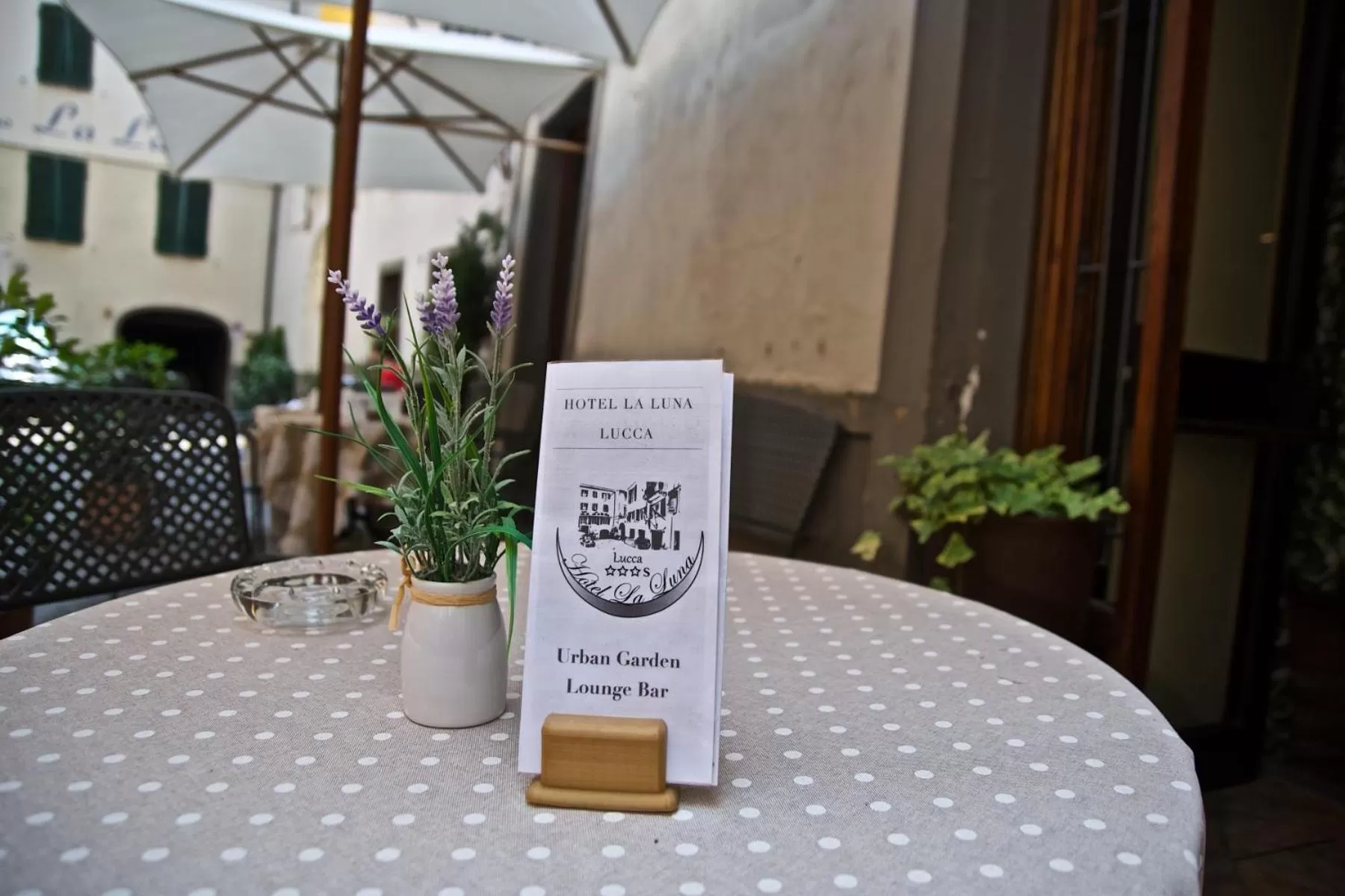 Patio in Hotel La Luna