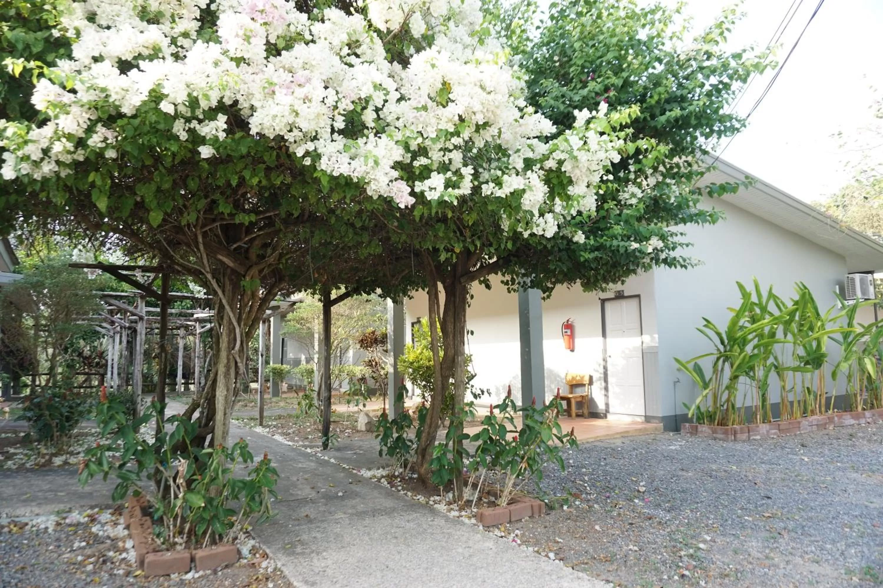 Property building in แกรนด์ ฟอเรสท์ Grand Forest