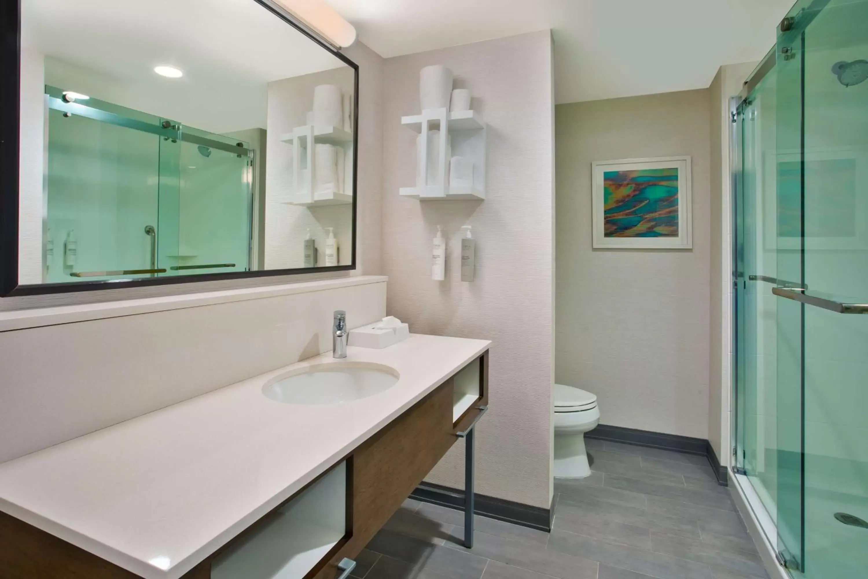 Bathroom in Hampton Inn Union City, Tn Bathroom in Hampton Inn Union City, Tn