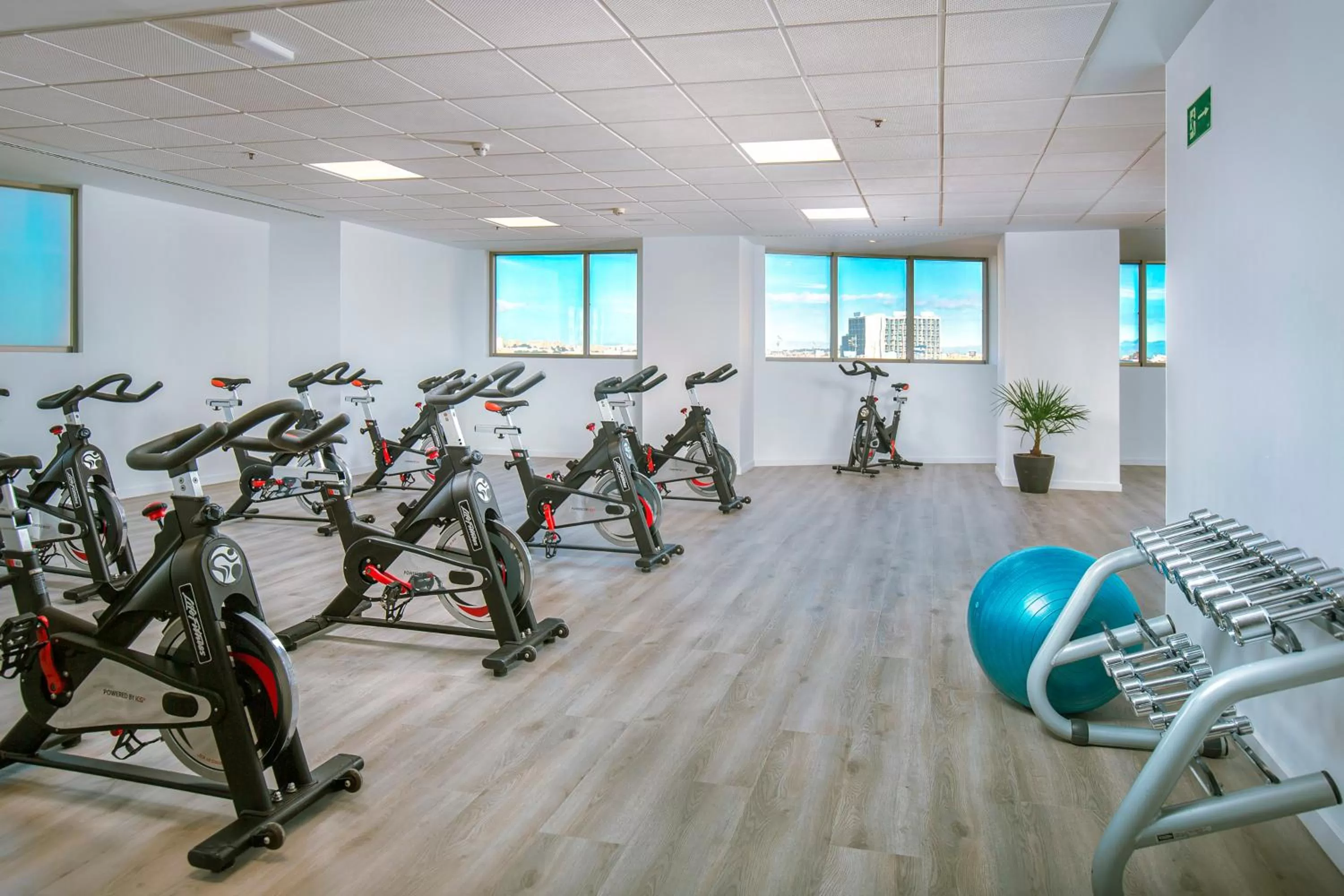 Activities in Melia Valencia