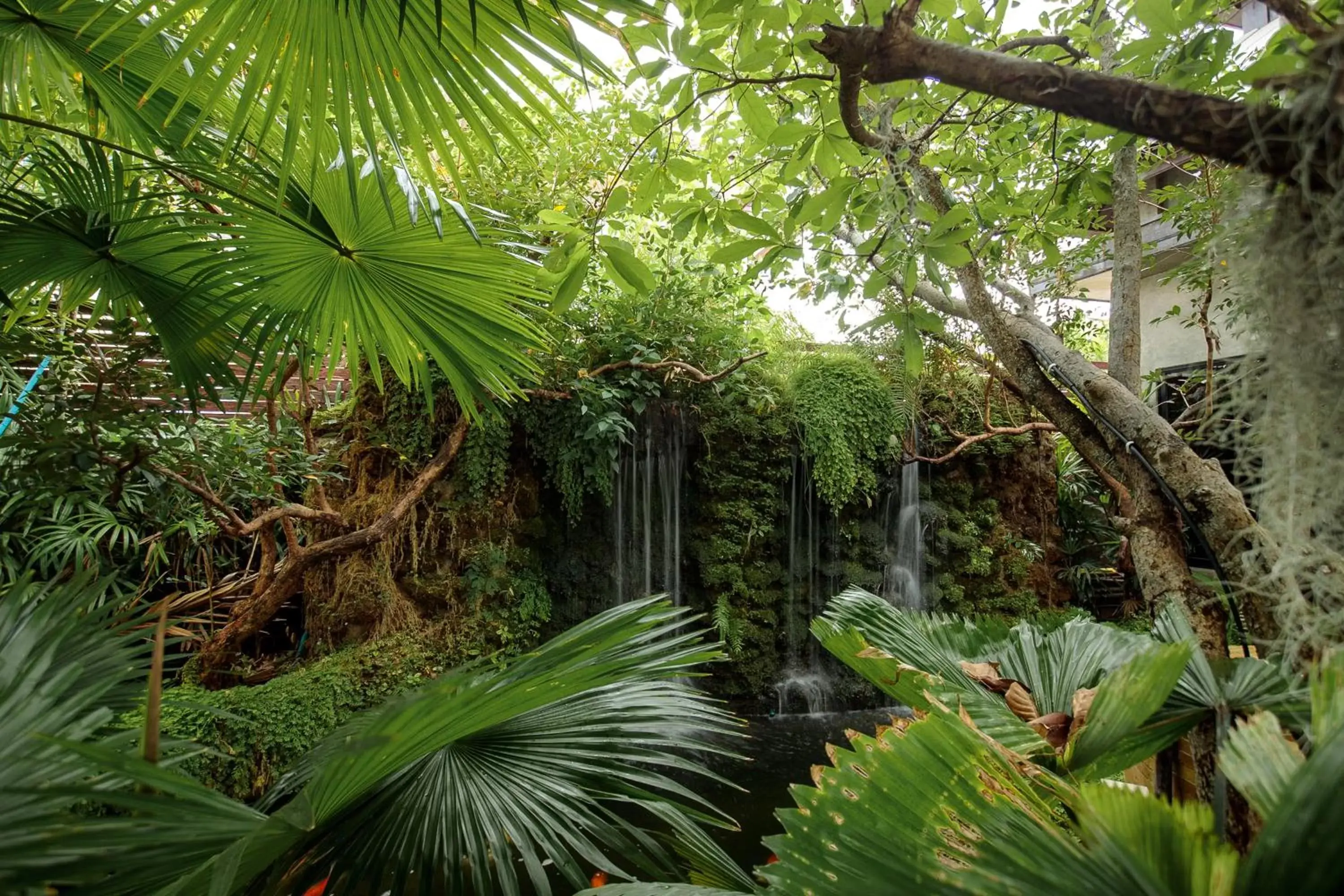 Garden in Huen Jao Ban Hotel