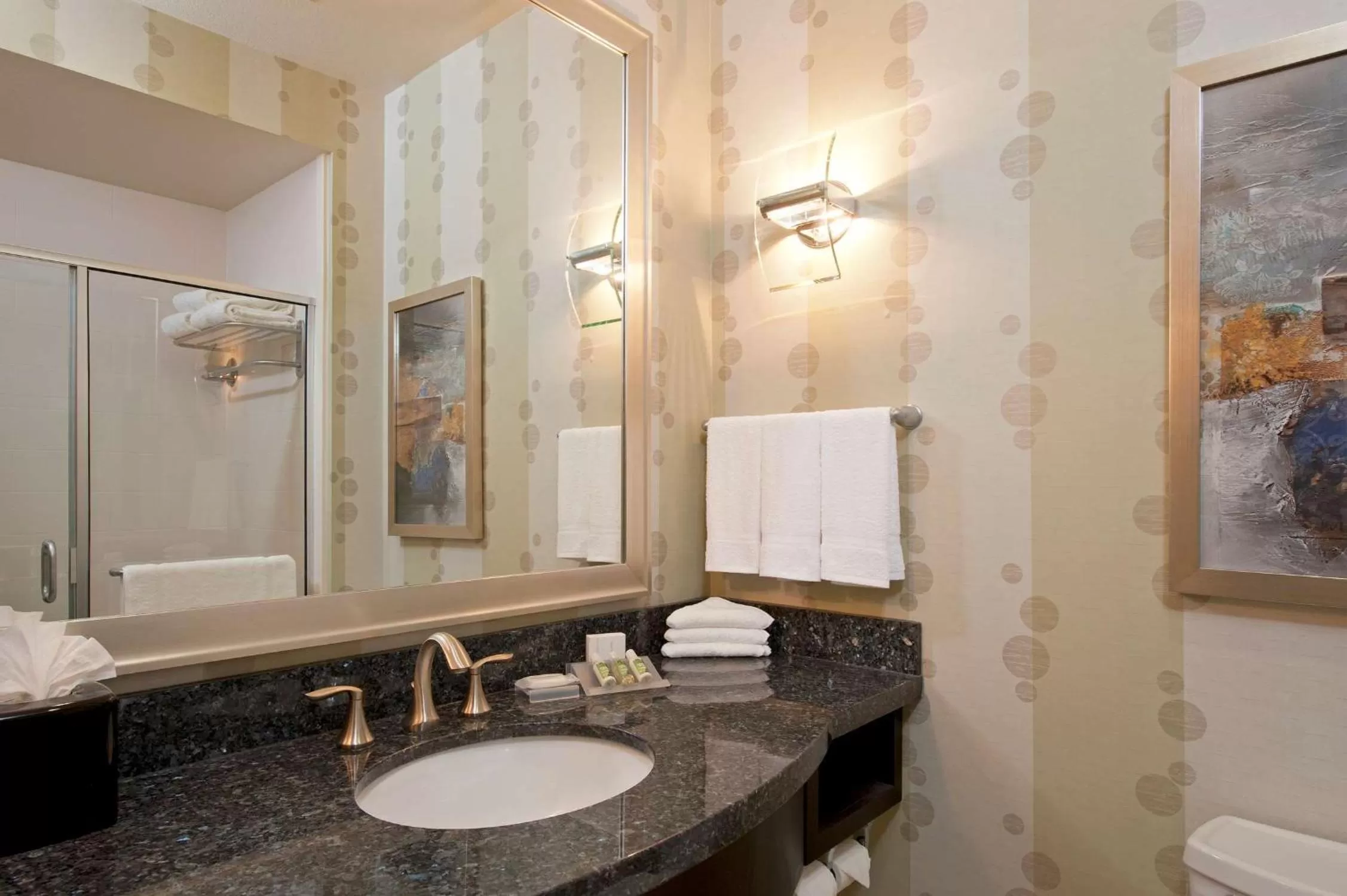 Bathroom in Hilton Garden Inn Ft Worth Alliance Airport