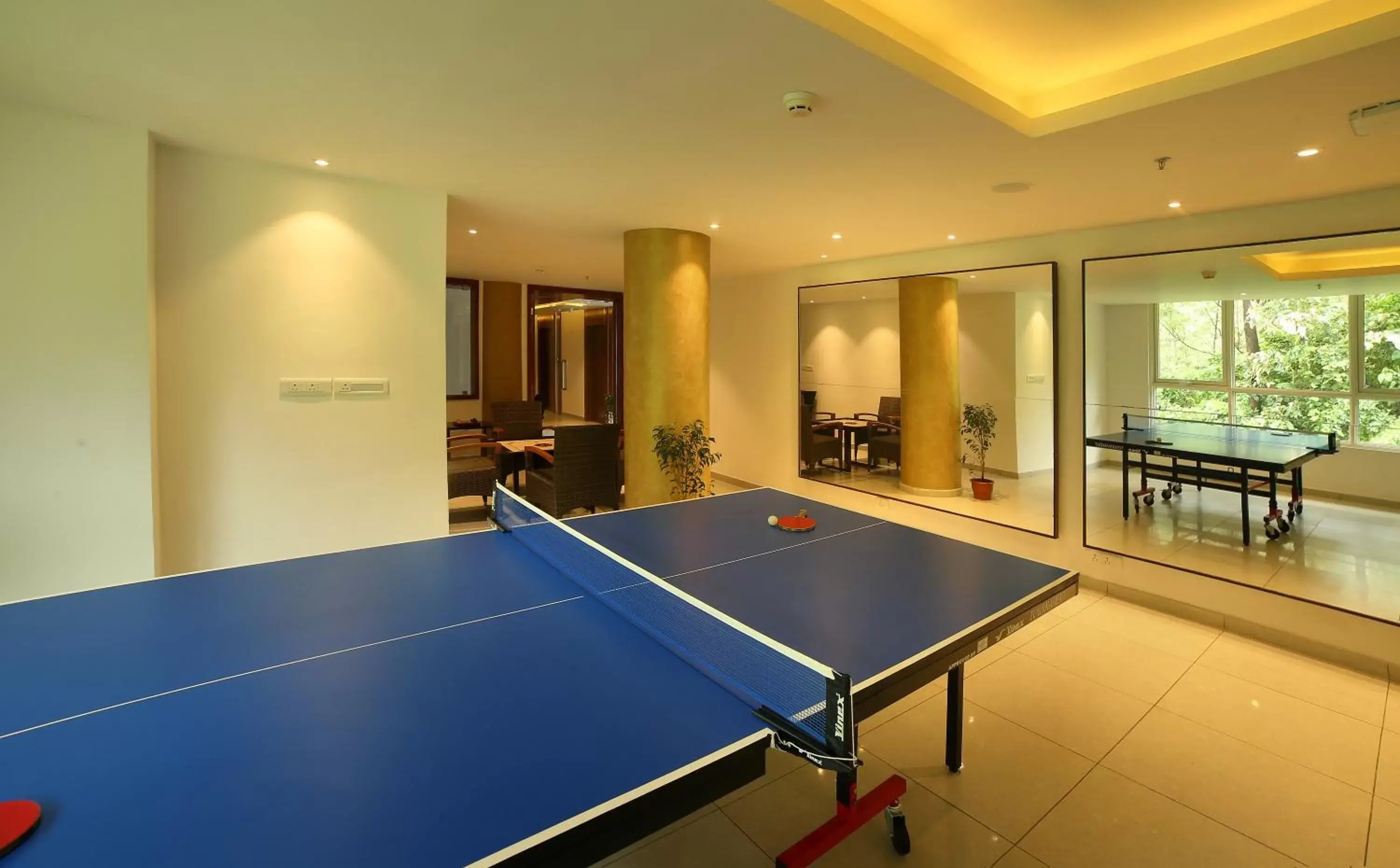 Area and facilities, Table Tennis in Blanket Hotel & Spa