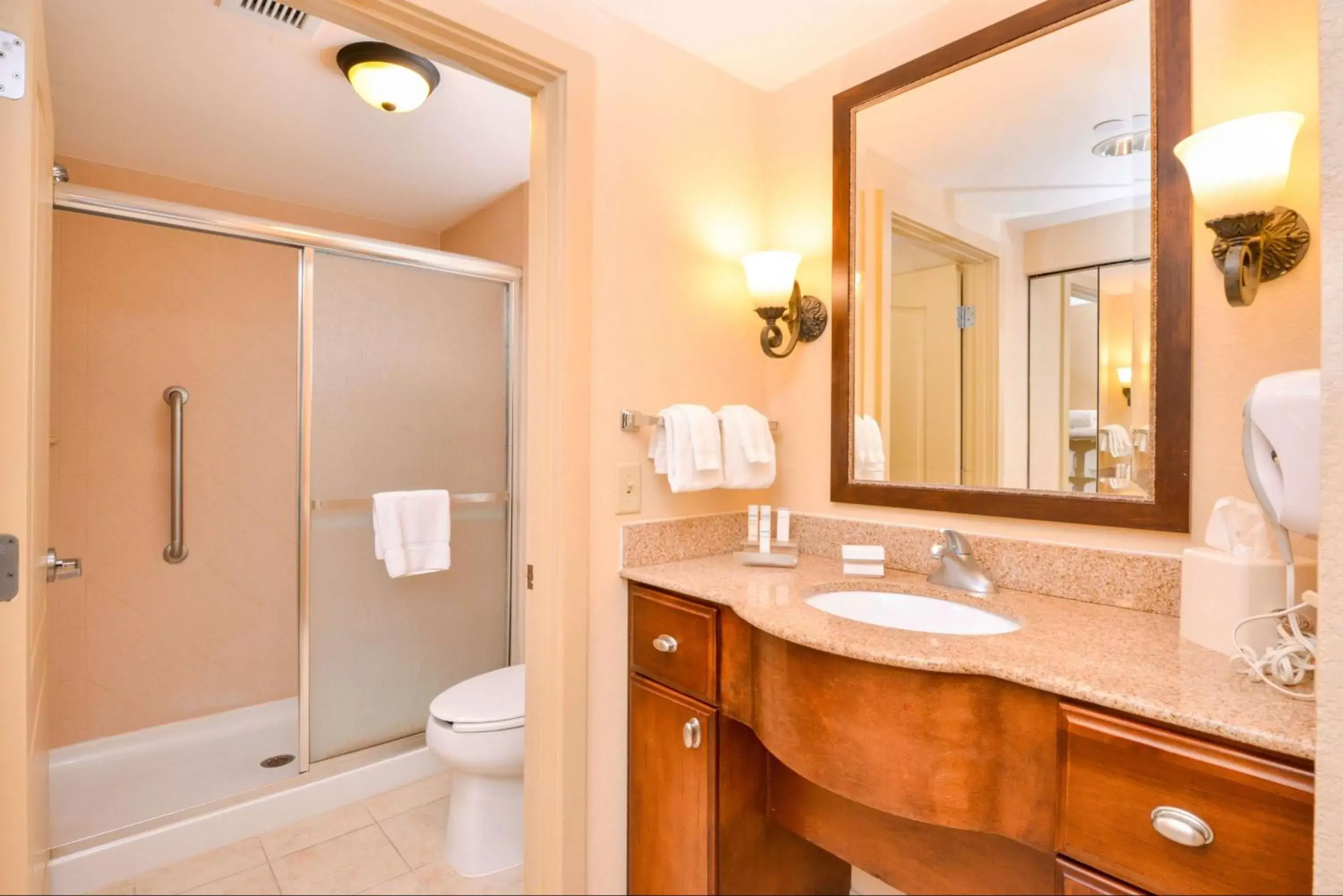 Bathroom in Homewood Suites by Hilton Dover