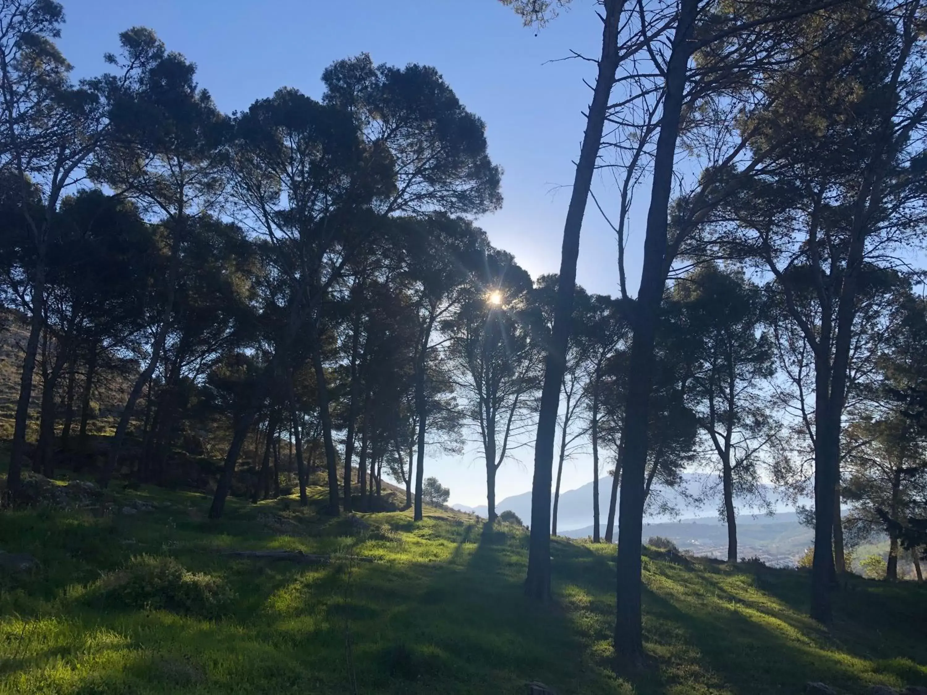 Natural landscape in Almohalla51