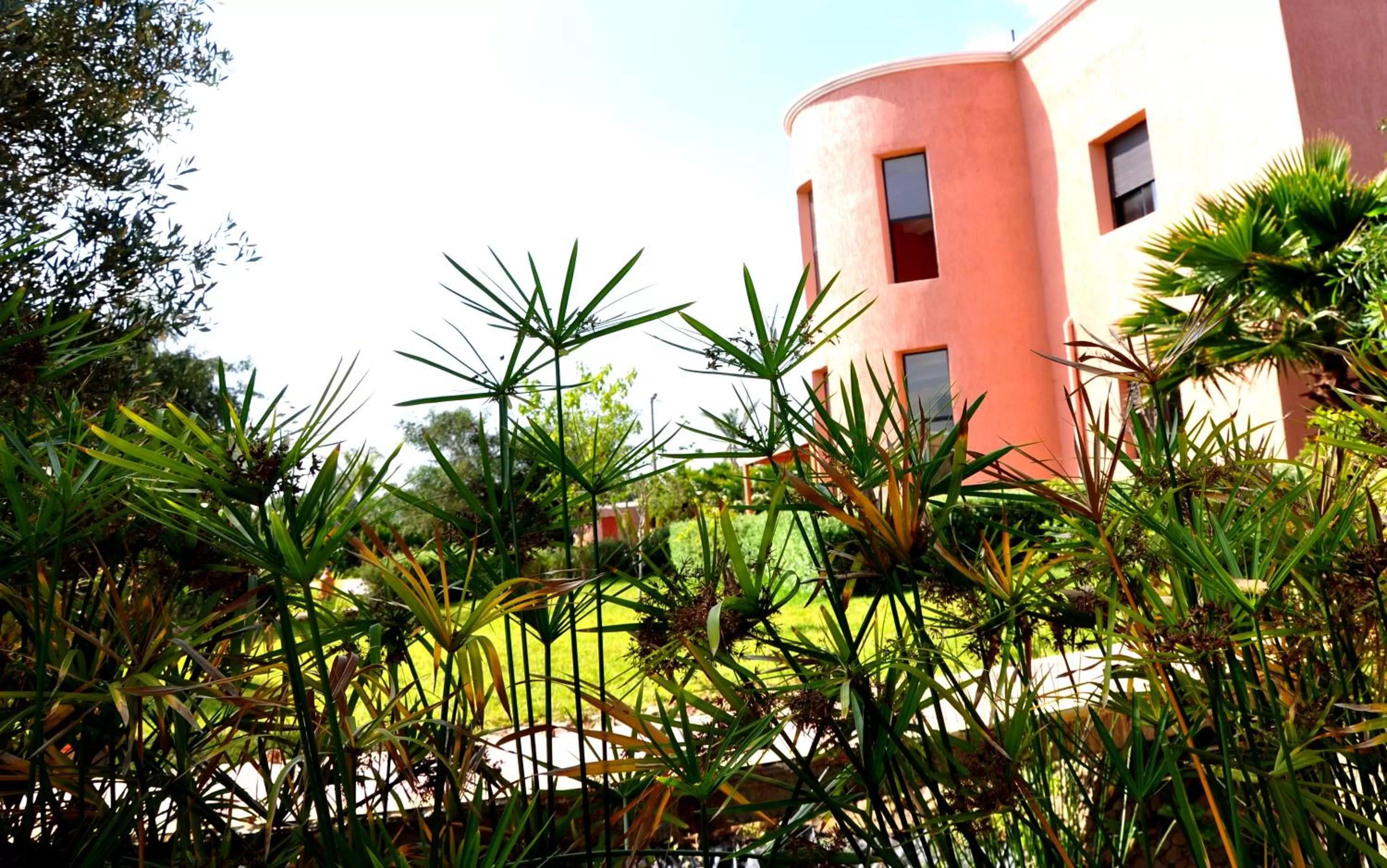 Property building in Riad Hamdani