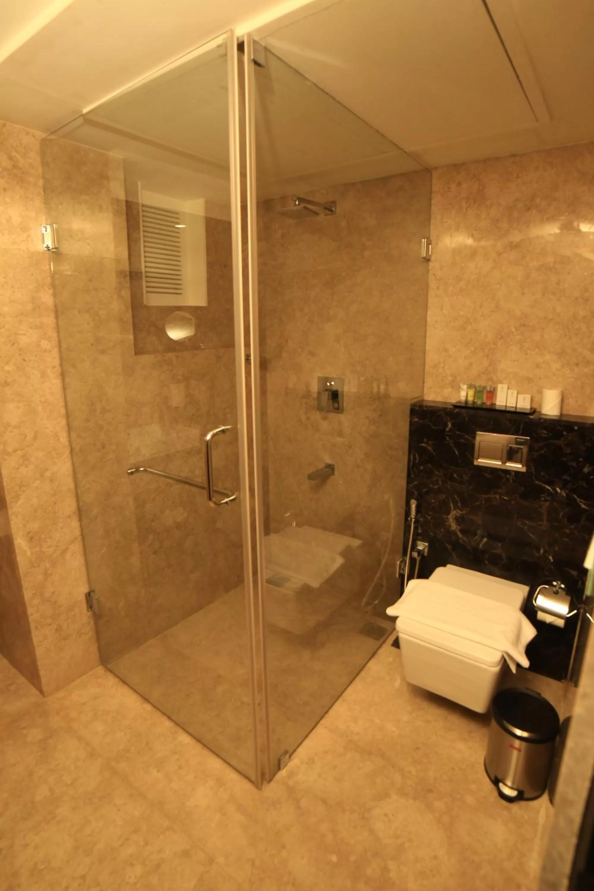 Bathroom in YASH INTERNATIONAL