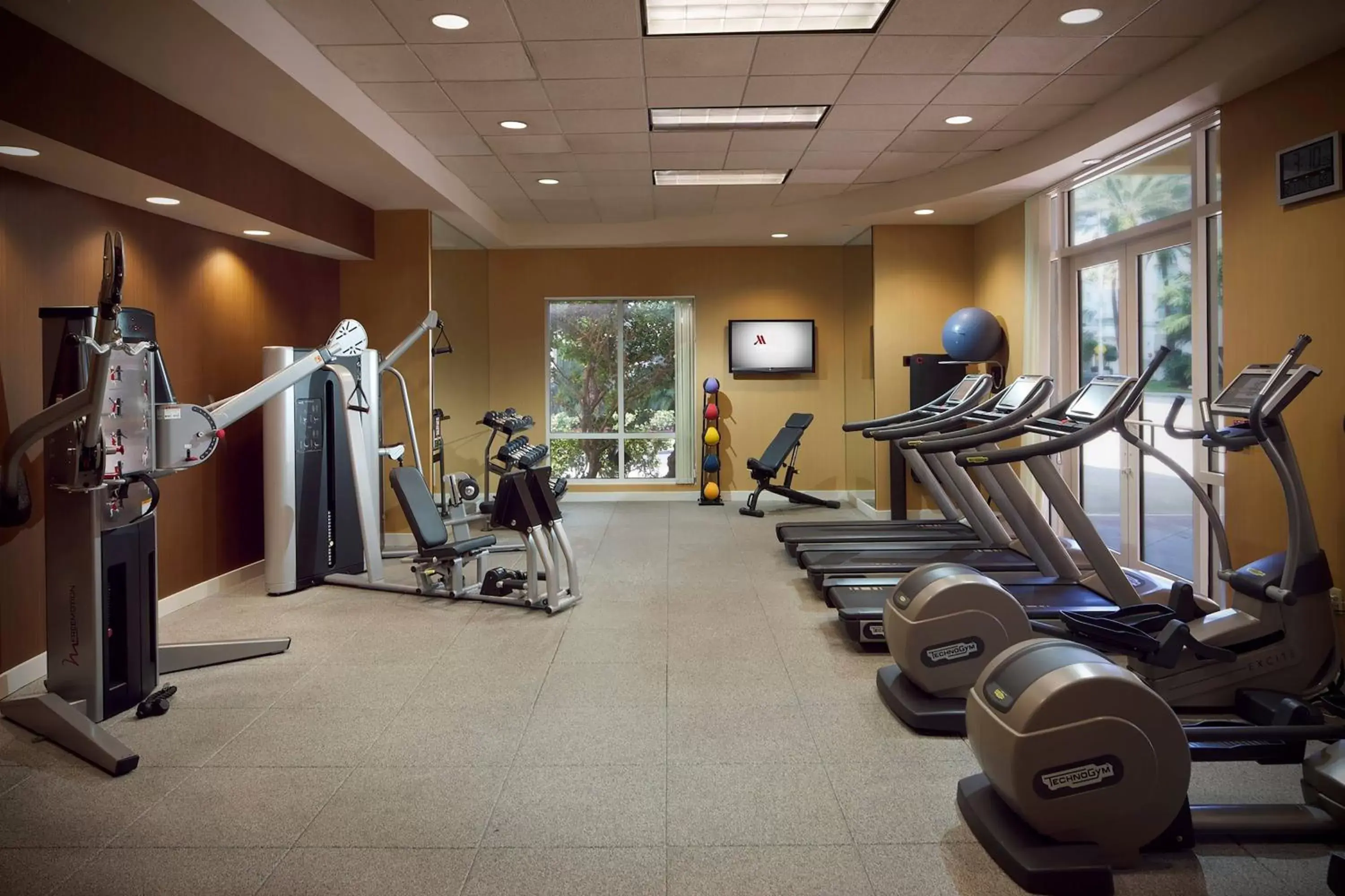 Fitness centre/facilities, Fitness Center/Facilities in Courtyard Miami Dadeland