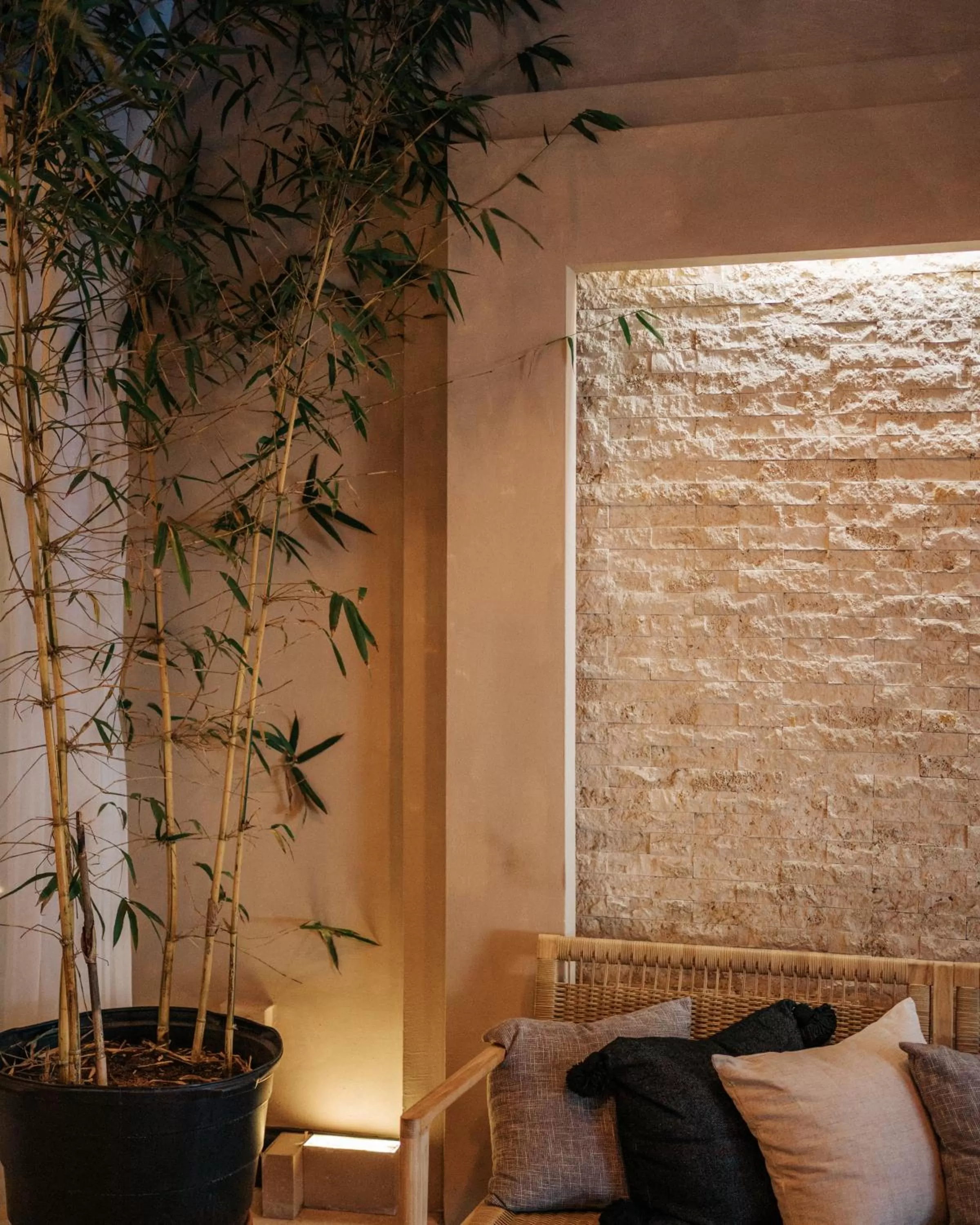 Lobby or reception in Aire de Olive