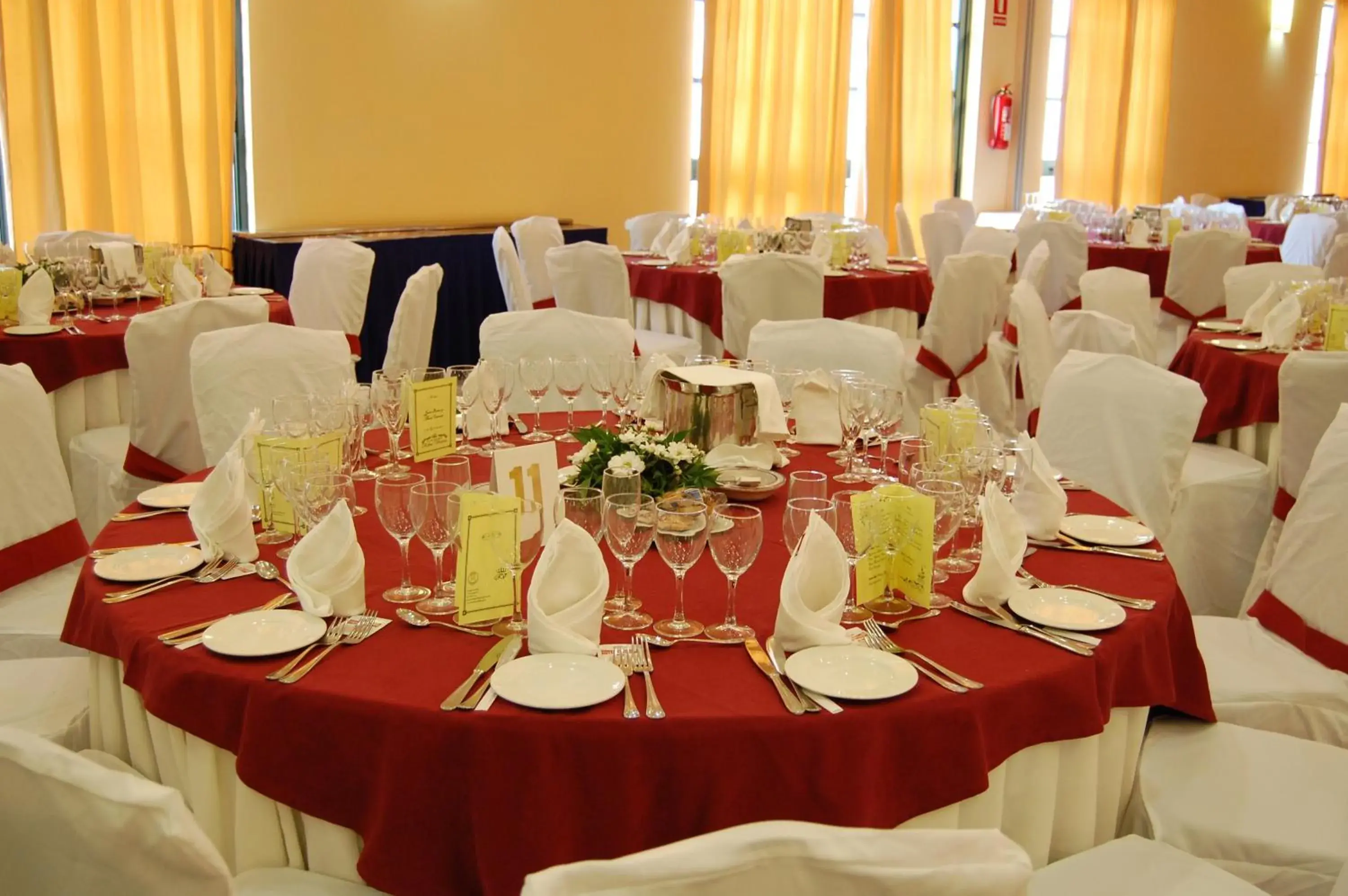 Banquet/Function facilities, Banquet Facilities in Hotel Castillo