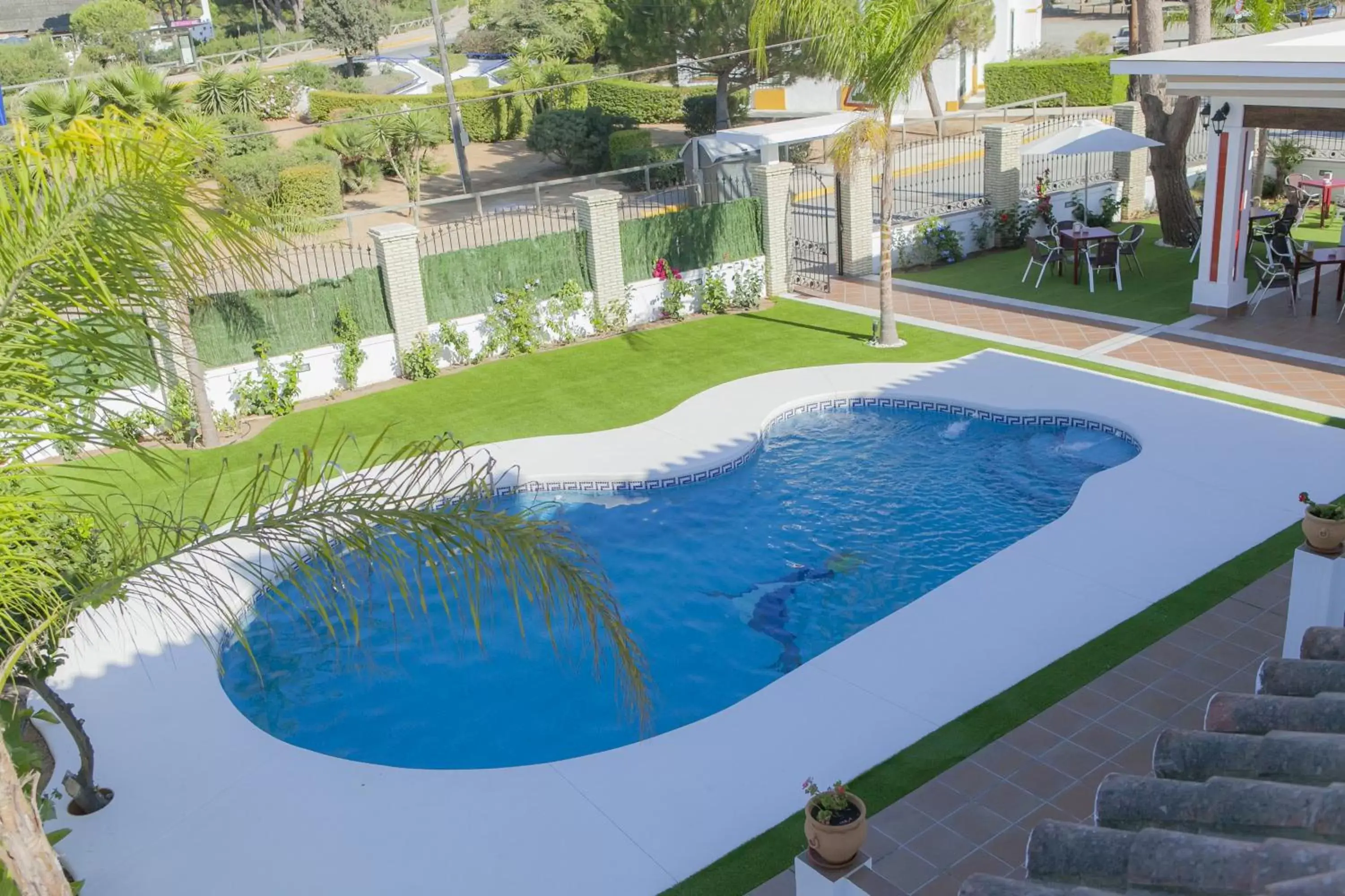 Swimming Pool in Hotel Novomar