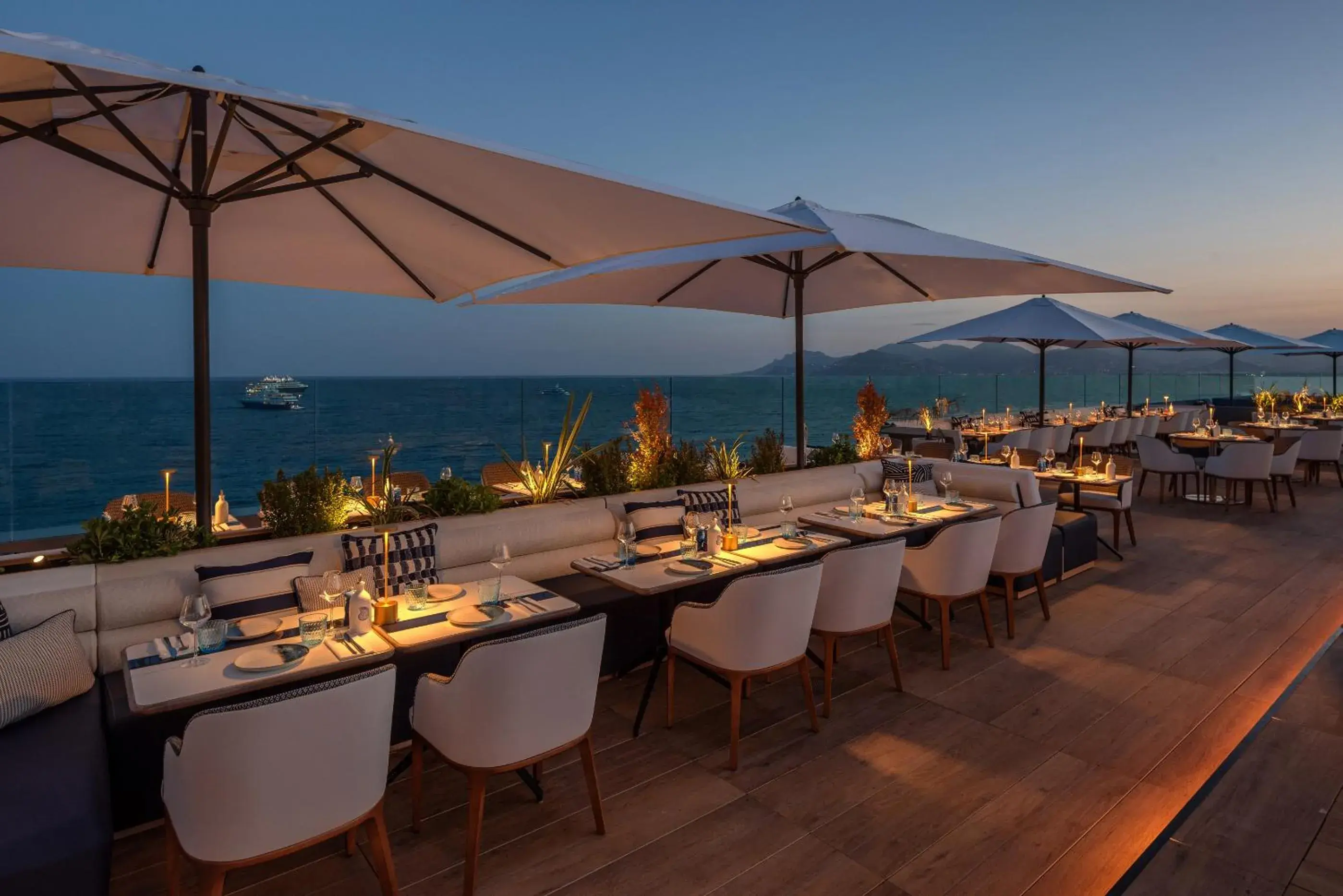 Restaurant/Places to Eat in Canopy by Hilton Cannes